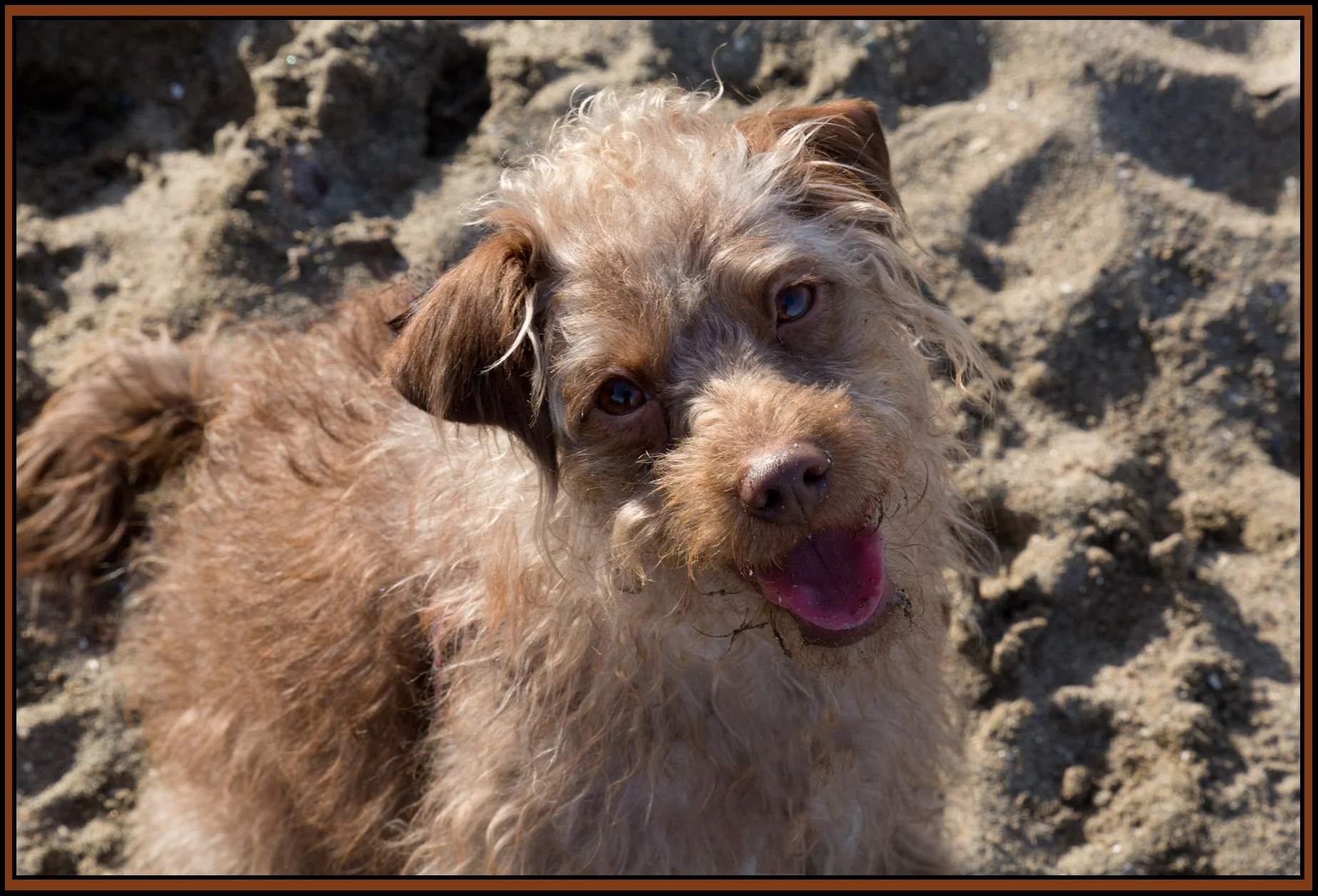 Frances at Haddon Pk_Feb 25_2016_HDR_K7880_4x6s.jpg