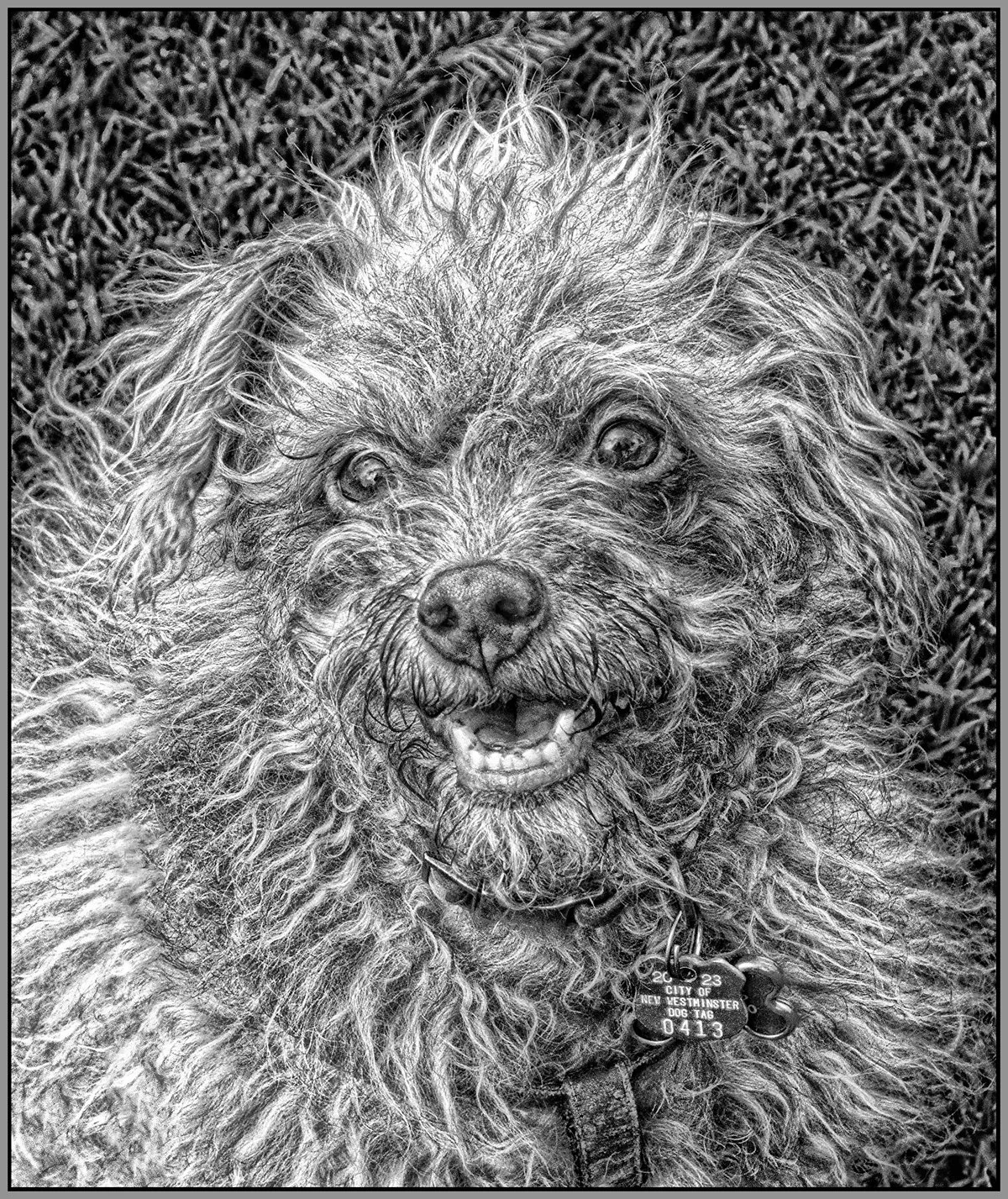 Frances in Moody Pk New West_Jan 19_2023_CR2_4H5366_1_peHyperstrip_HdrdecRad_SfterPncl_1_4x5s.jpg