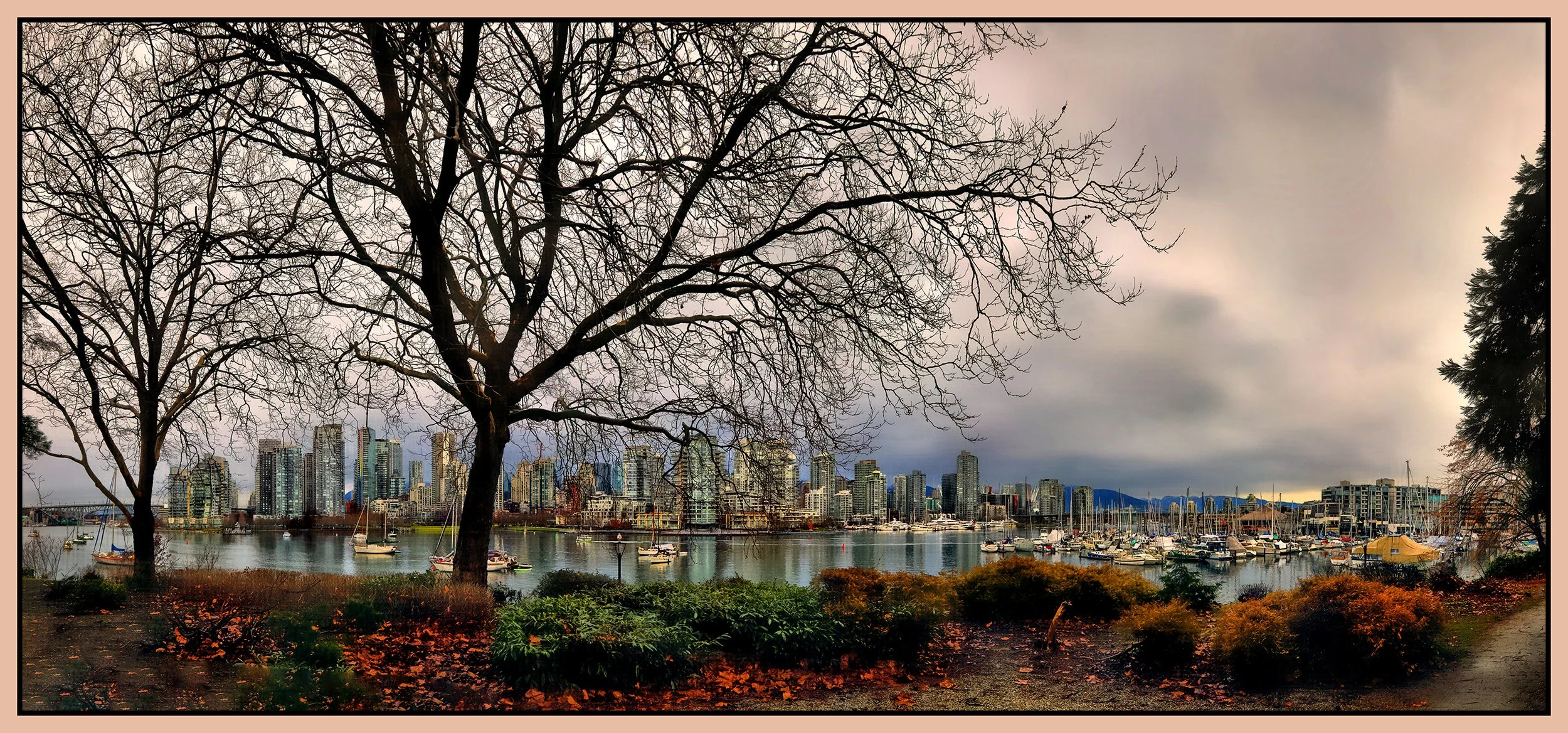 False Creek Trees_Jan 8_2023_HDR_Pan_5D2443_peHyperstrip_Hdr2013_1_4x9s.jpg