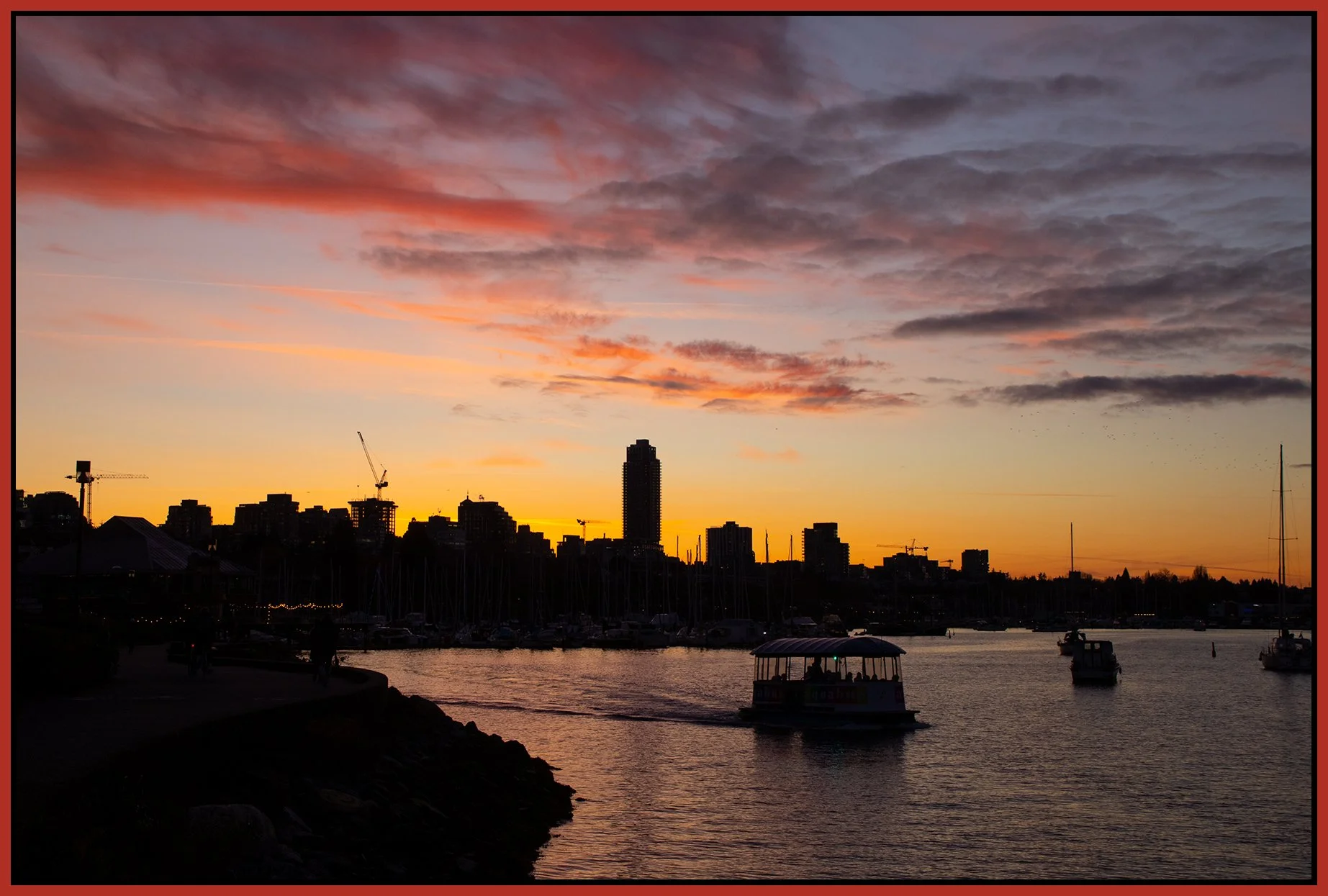 2.9 View False Creek_Nov 27_2024_CR2_4J4462_4x6s.jpg