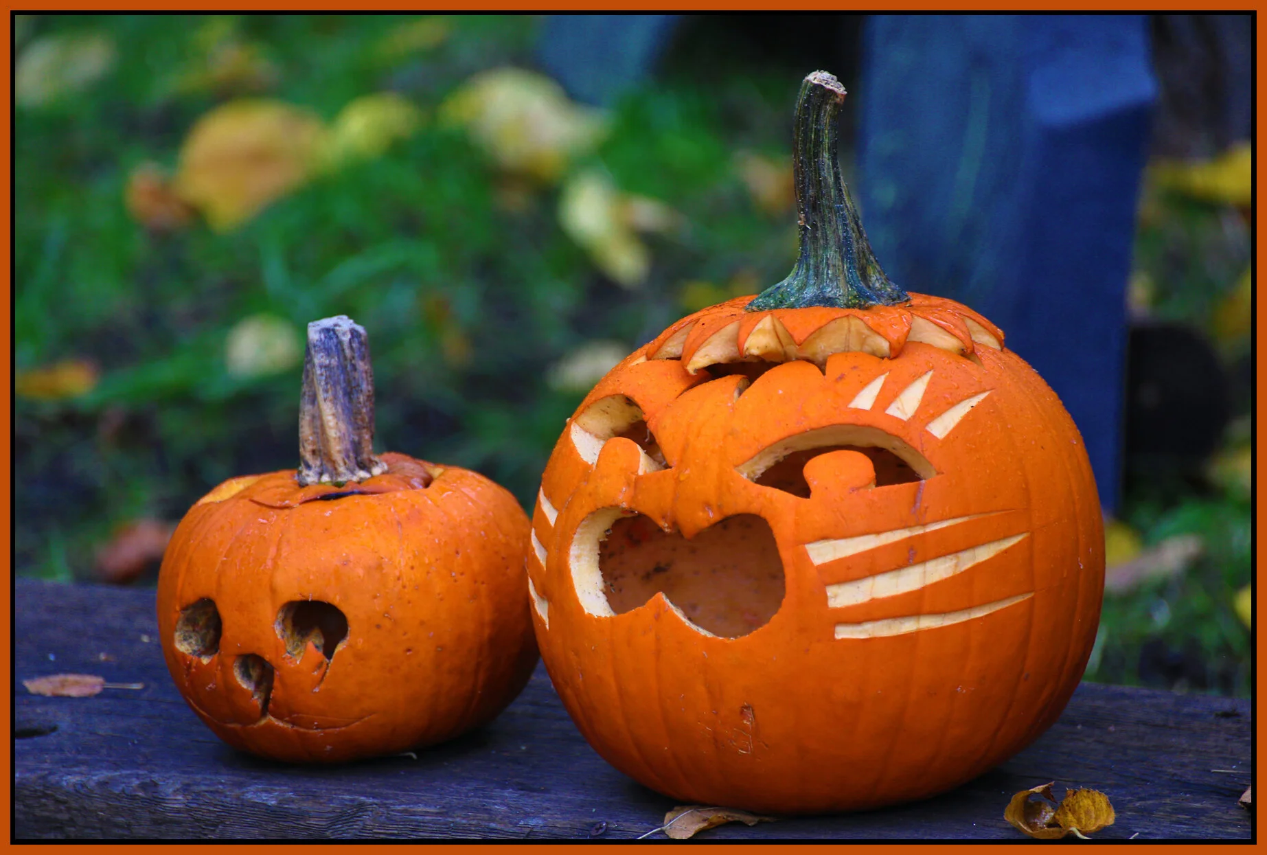 Strathcona Pumpkins_Nov 2_2014_HDR_F2679_4x6s.jpg