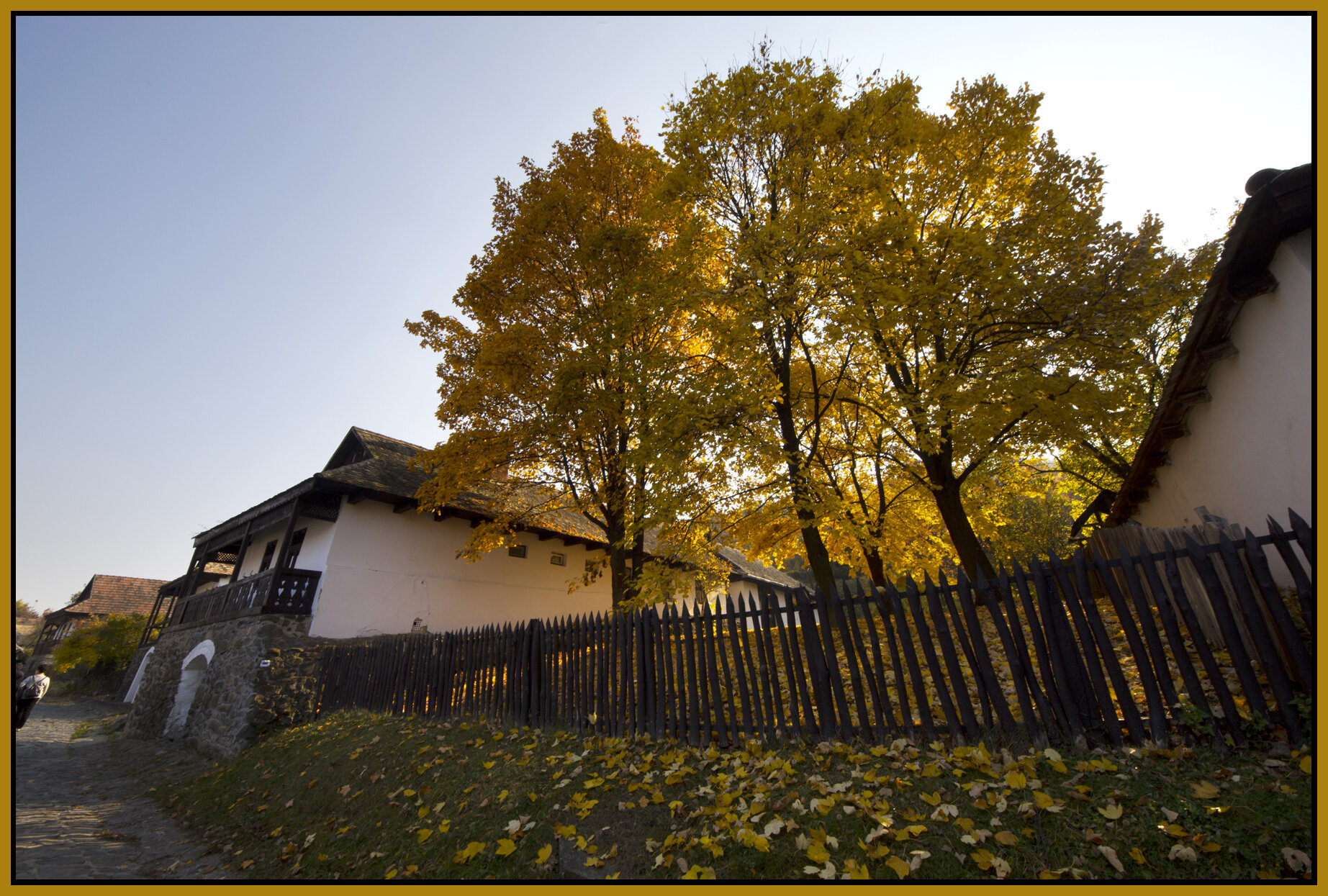 Vizslás_Nov 1_2011_9432_4x6s.jpg