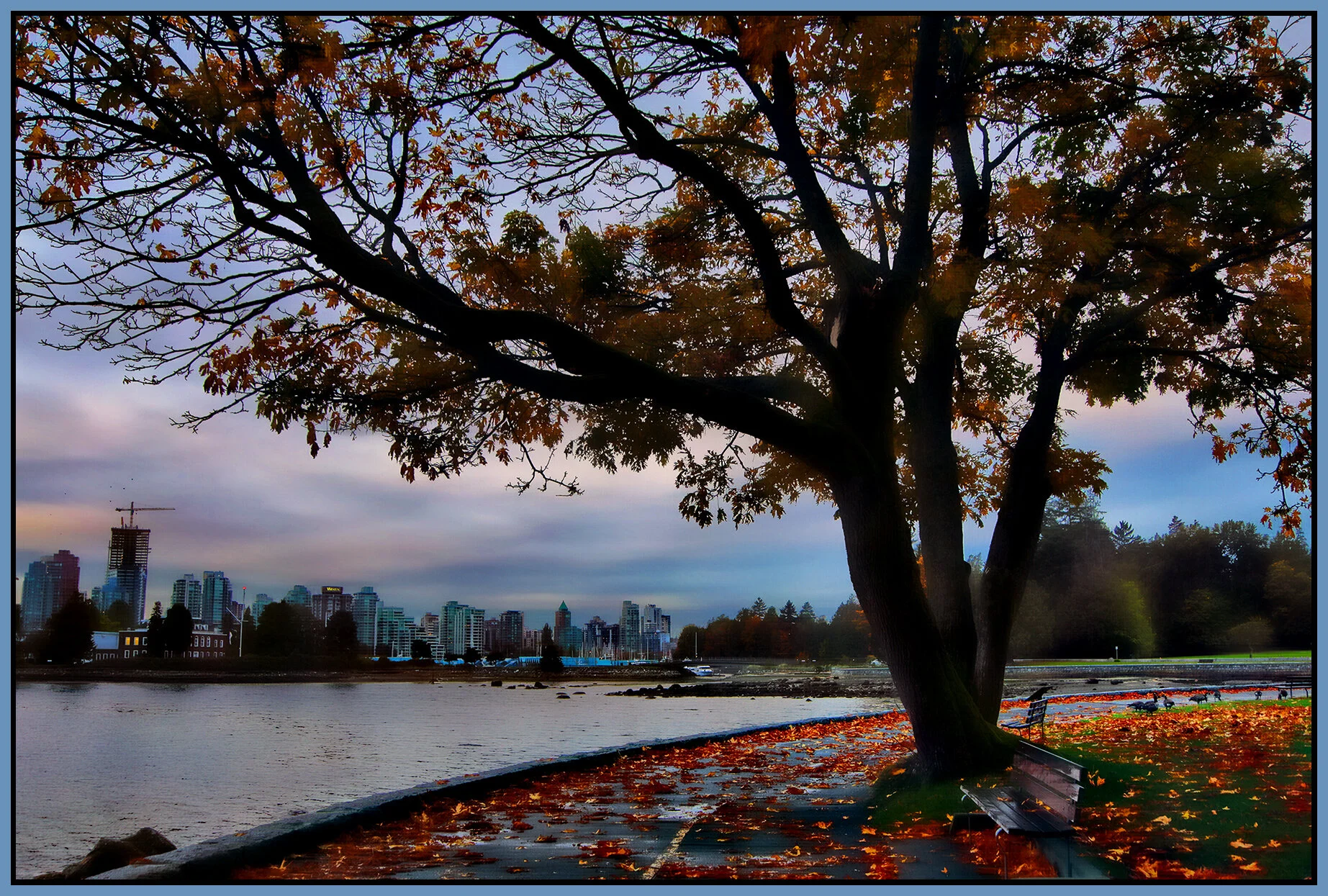 Vancouver from Stanley Pk_Oct 3-2021_HDR_4G3457_peHdr2013_1_4x6s.jpg