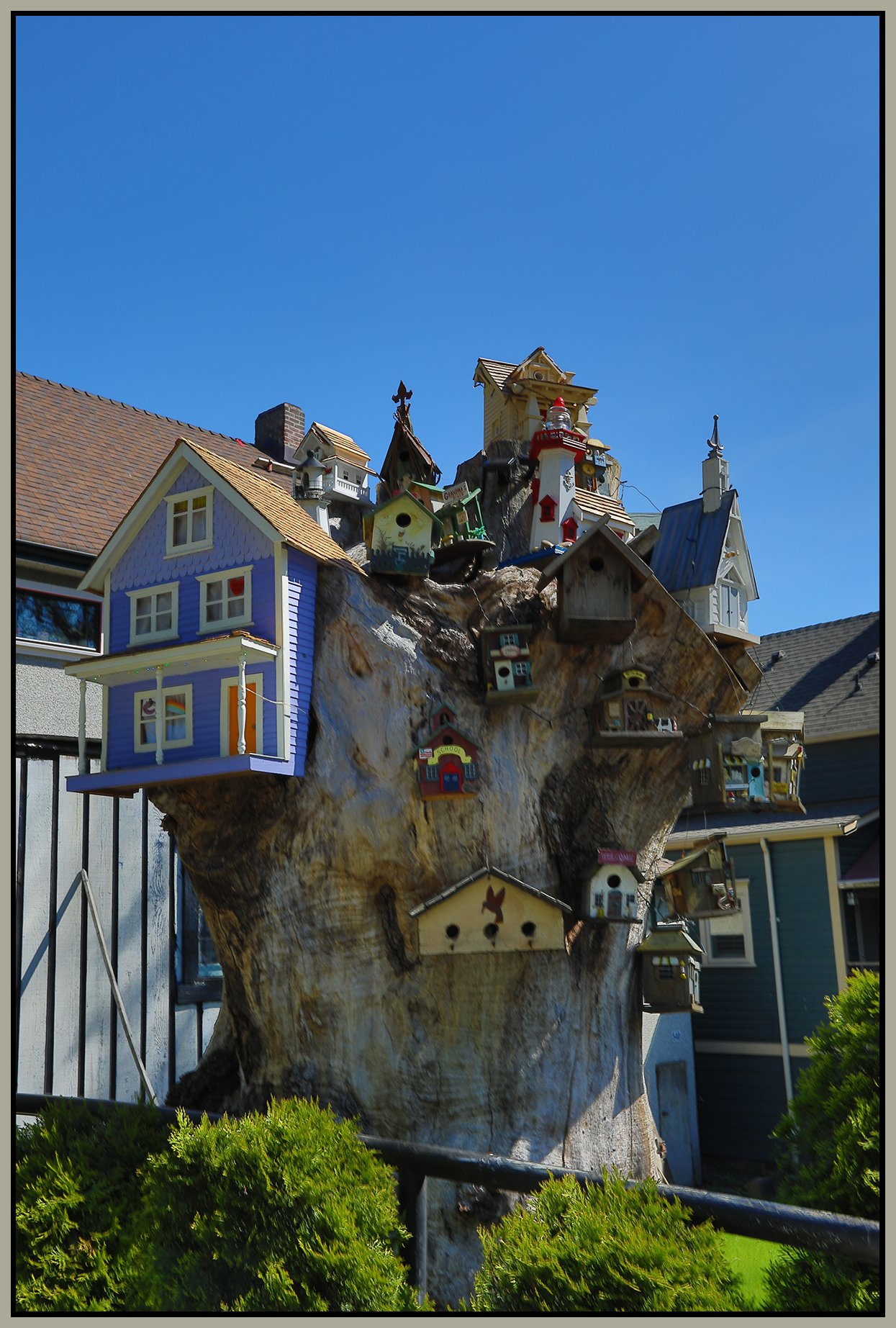 580 Heatley Tree Houses_May 10_2024_HDR_5E5094_4x6s.jpg