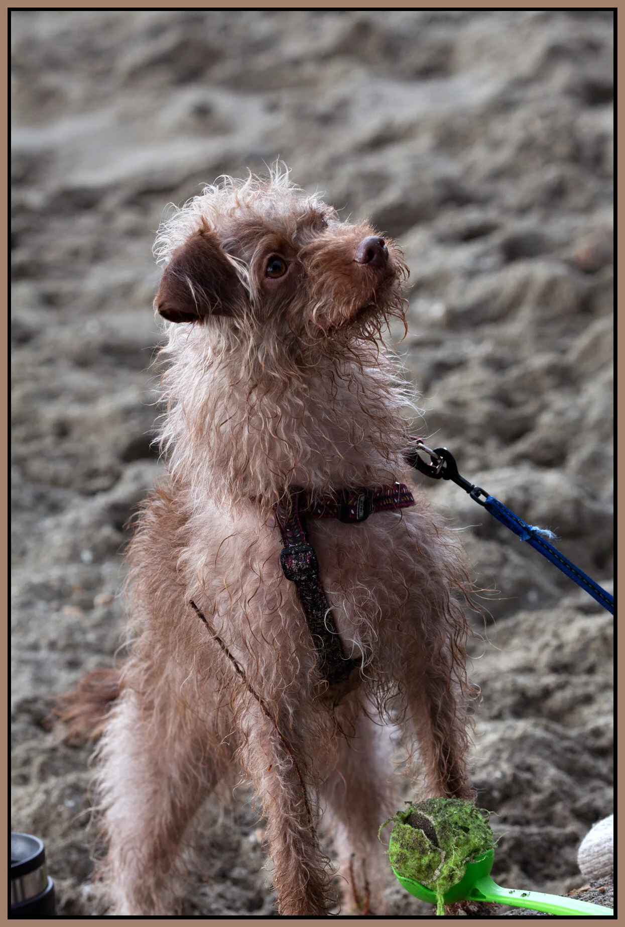 Frances in Cates Pk_Jan 24_2016_K7306_4x6s.jpg