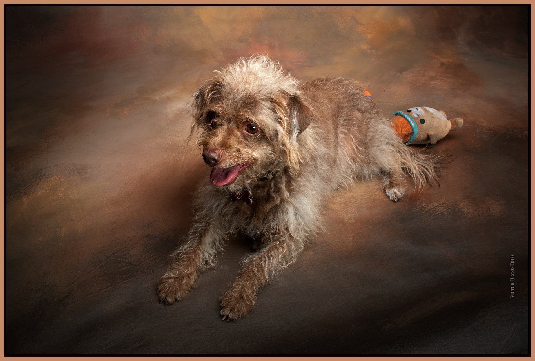 Frances_Jun 11_2023_4H7693_peSftBlur_4x6s.jpg