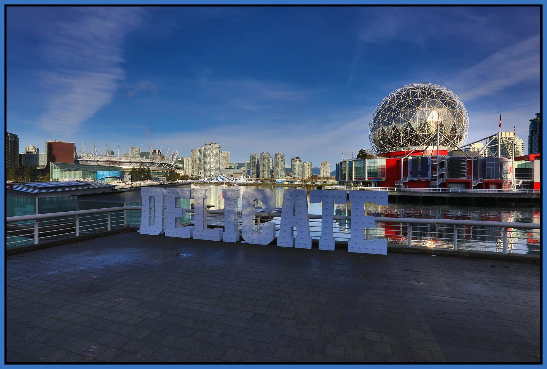 4 View Delicate Sign_Dec 1_2024_HDR_5E5996_4x6s.jpg