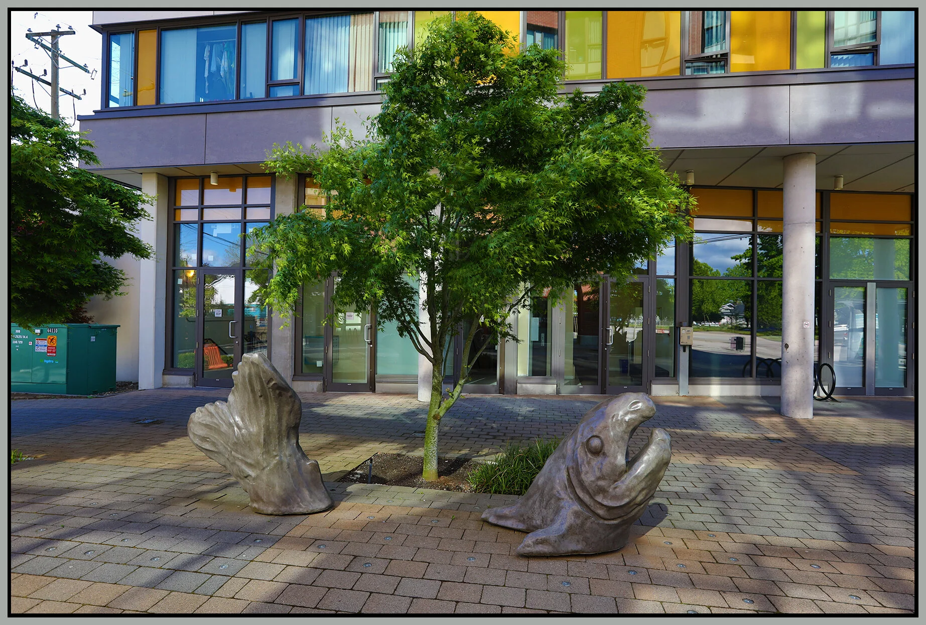 2685 Kingsway Fish Art_May 5_2020_HDR_4F6793_4x6s.jpg