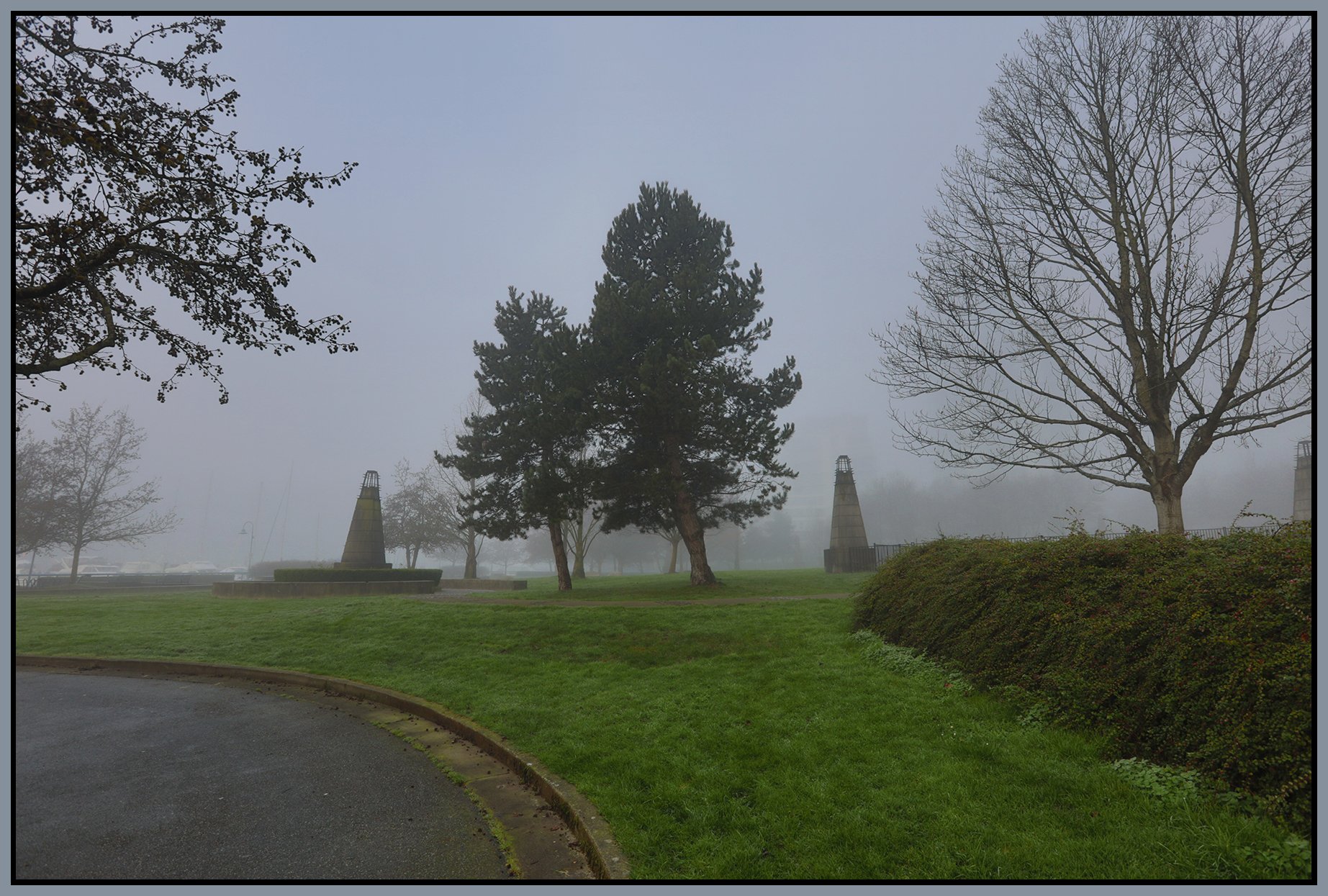 George Wainborn Trees LkgSW_Jan 19_2026_HDR_4K7286_4x6s.jpg