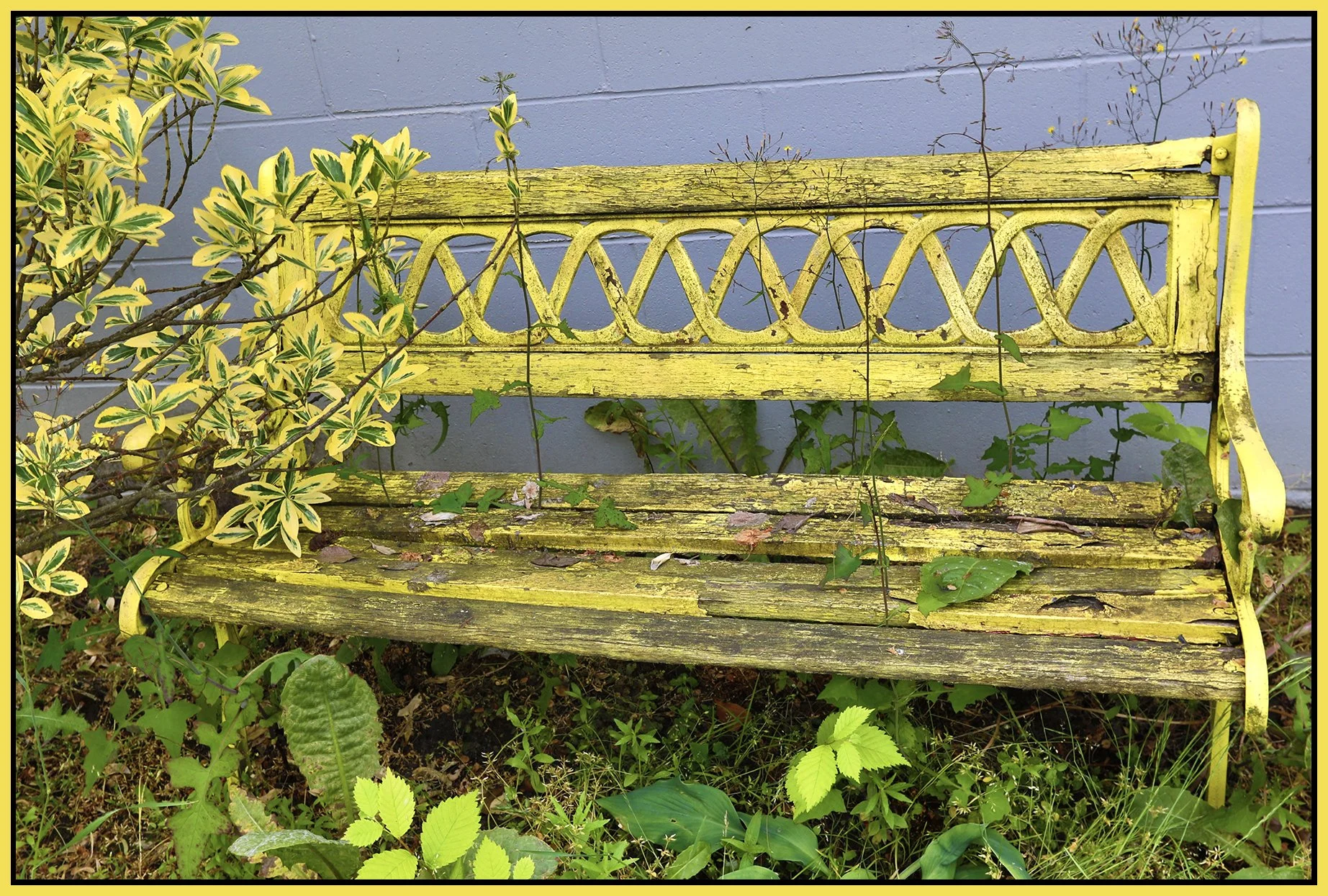 Bench on Adanac_Jun 10_2018_HDR_C6016_4x6s.jpg