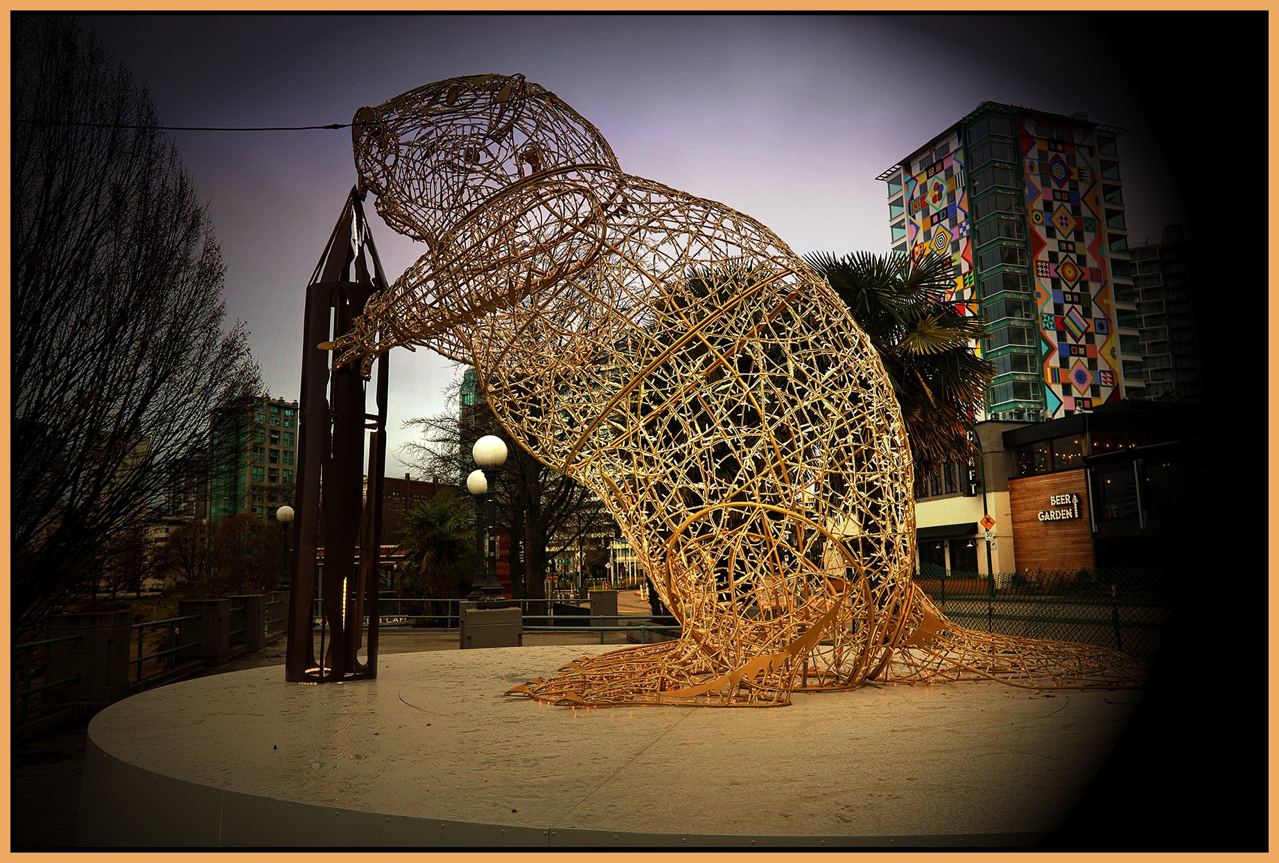 English Bay Beaver_Jan 15_2022_HDR_5A7120_peIntnSunst_4x6s.jpg