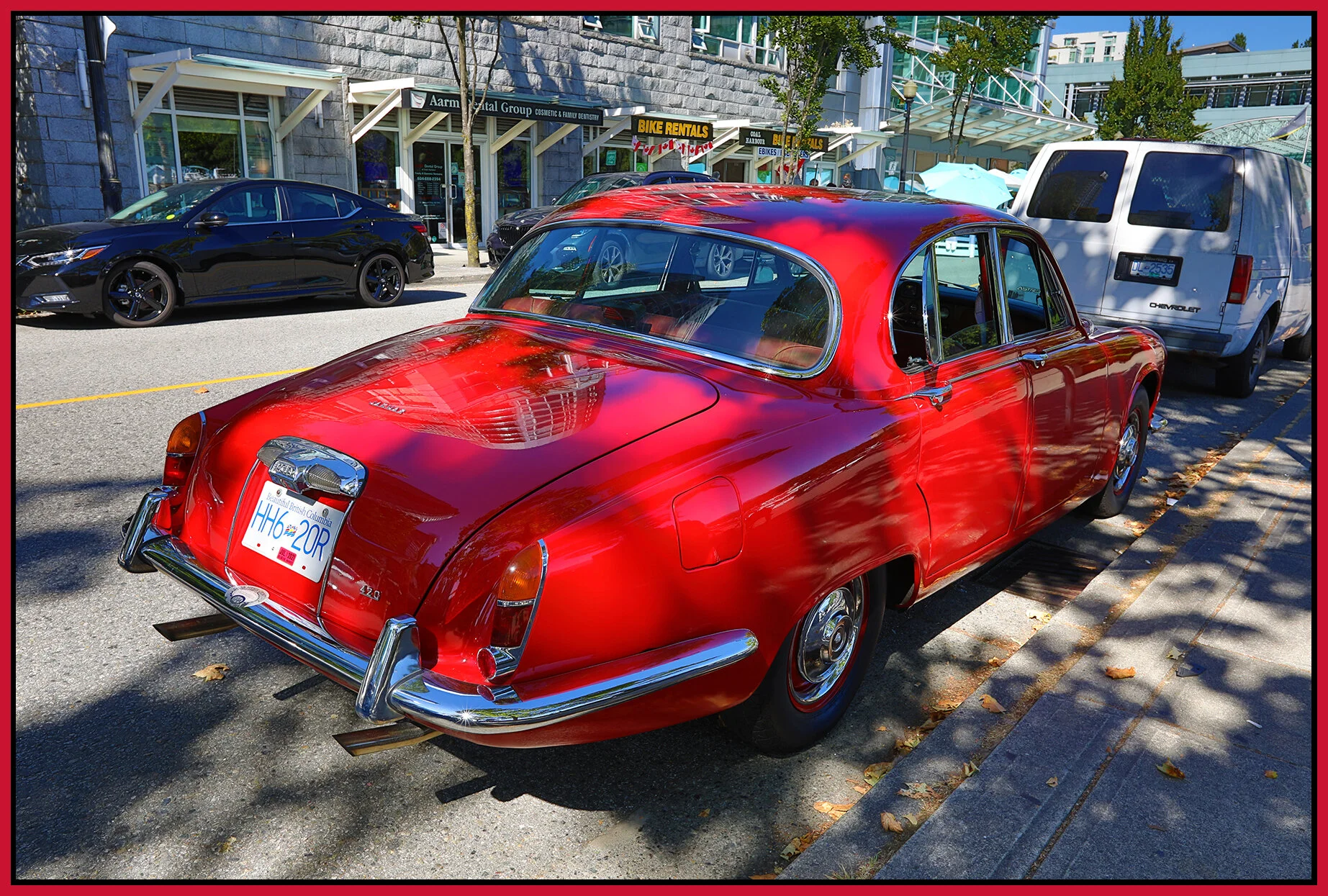 Jaguar_Jul 25_2021_HDR_5A5431_4x6s.jpg