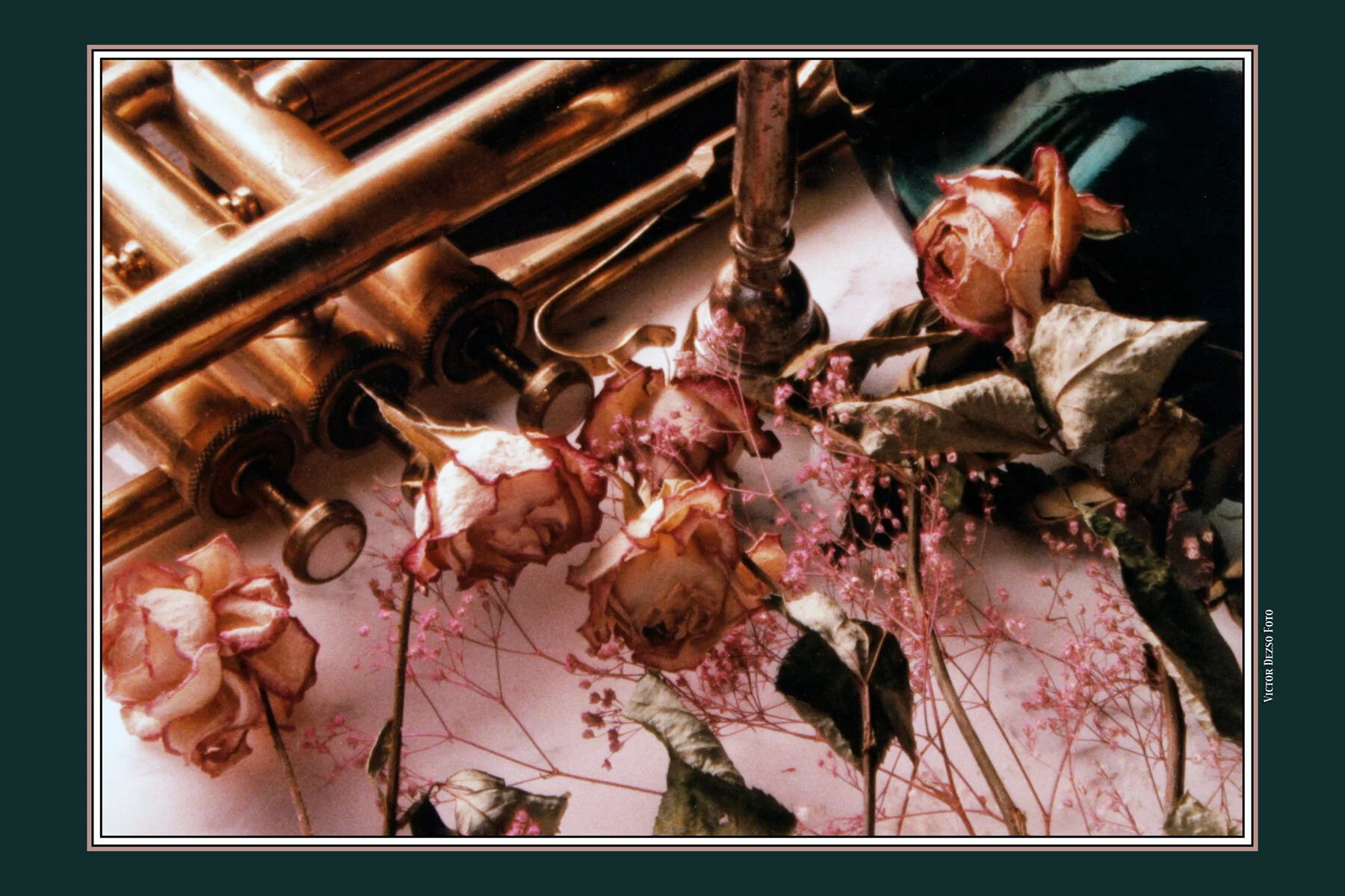 Horn & Roses_6965_4x6.jpg