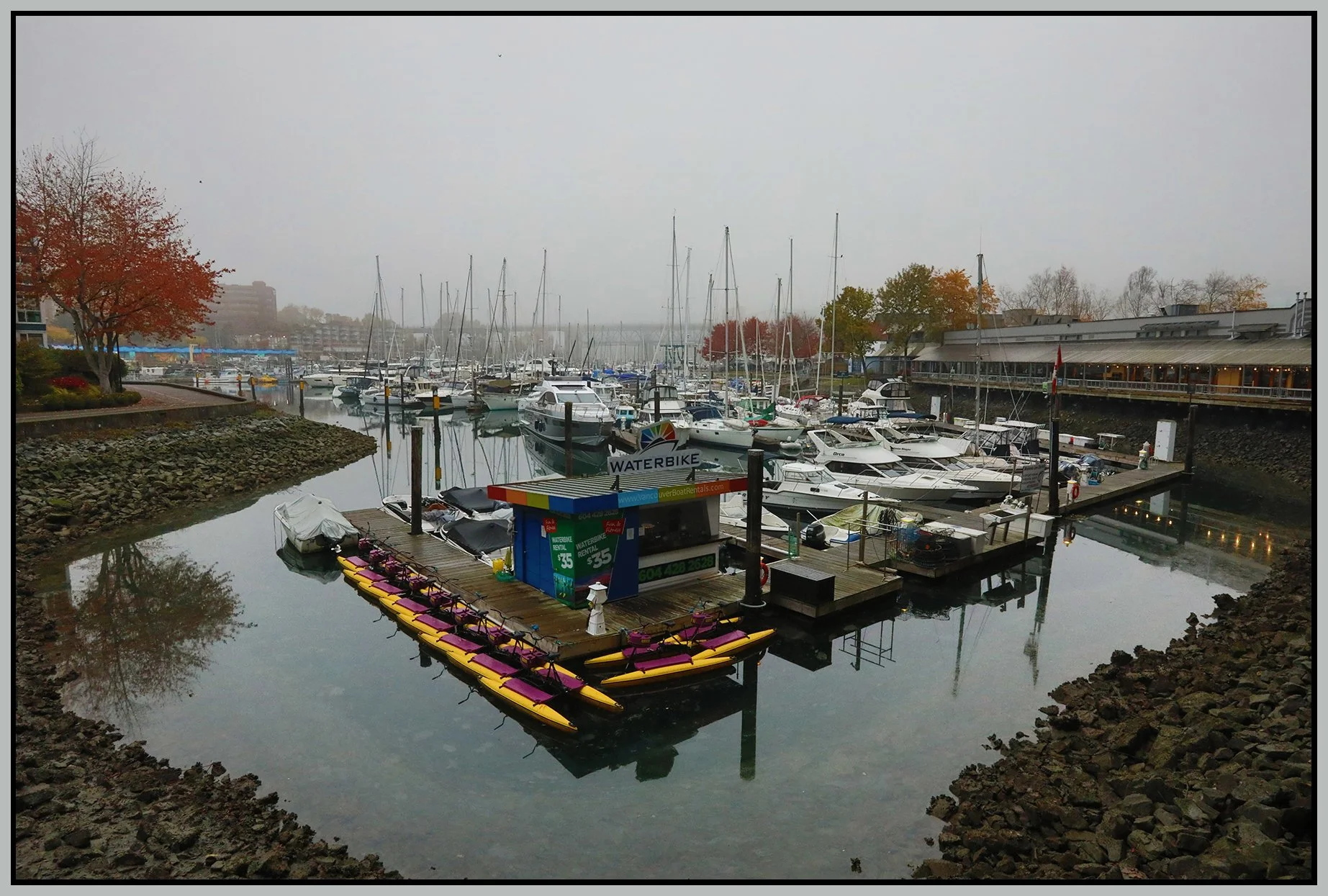 Granville Island Waterbike_Nov 16_2022_HDR_5C6278_4x6s.jpg
