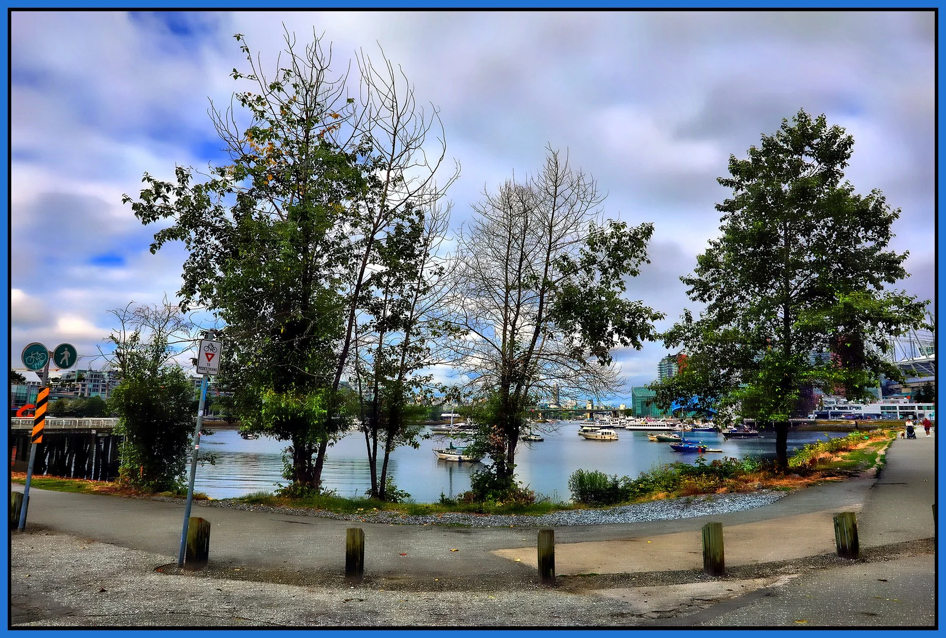 6 View Trees_Jun 30_2024_HDR_4J1962_peHdr2013_1_4x6s.jpg