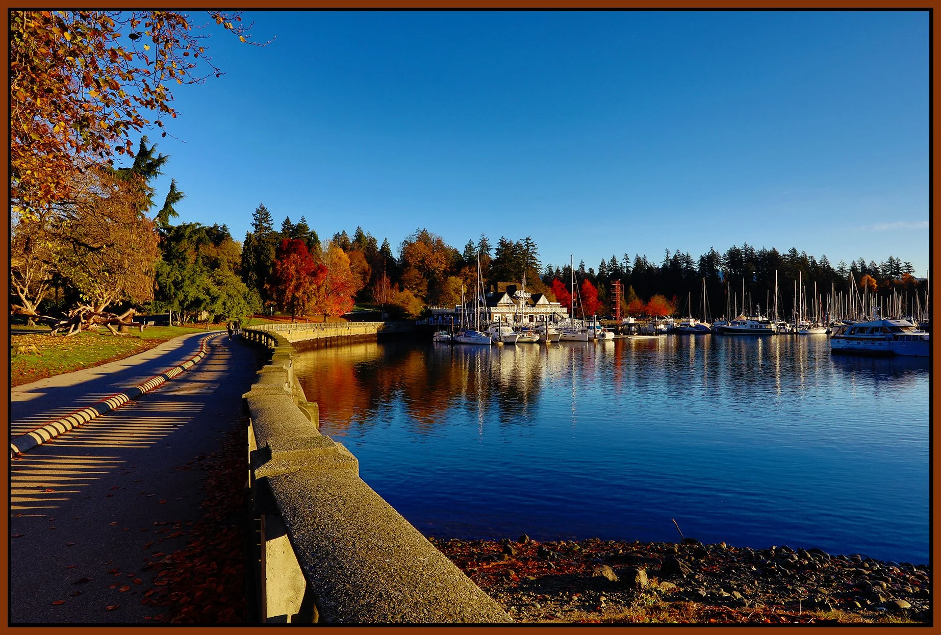 Stanley Park Rowing Club_Oct 30_2021_HDR_5A8973_pePop_4x6s.jpg