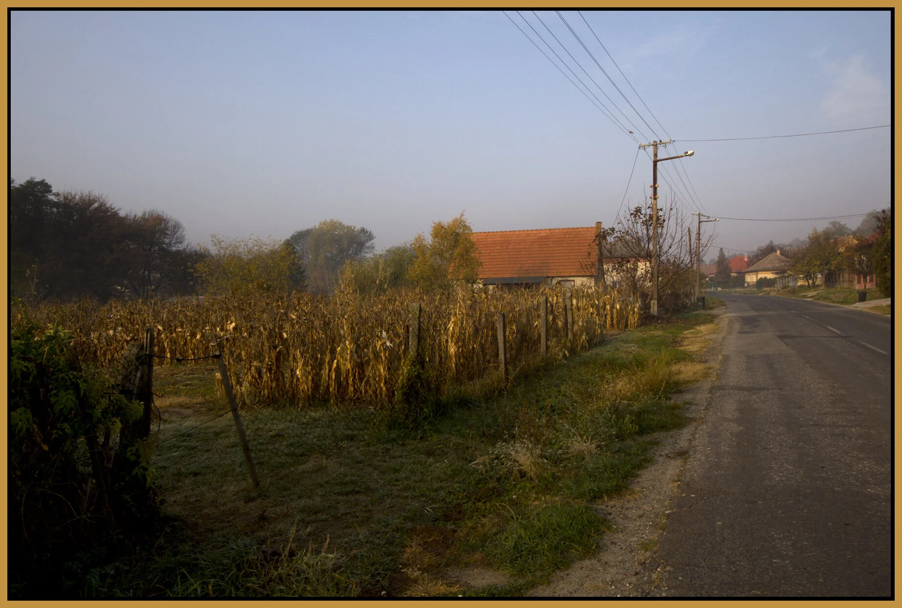 Hungary Bénye_Nov 4_2011_0329_4x6s.jpg