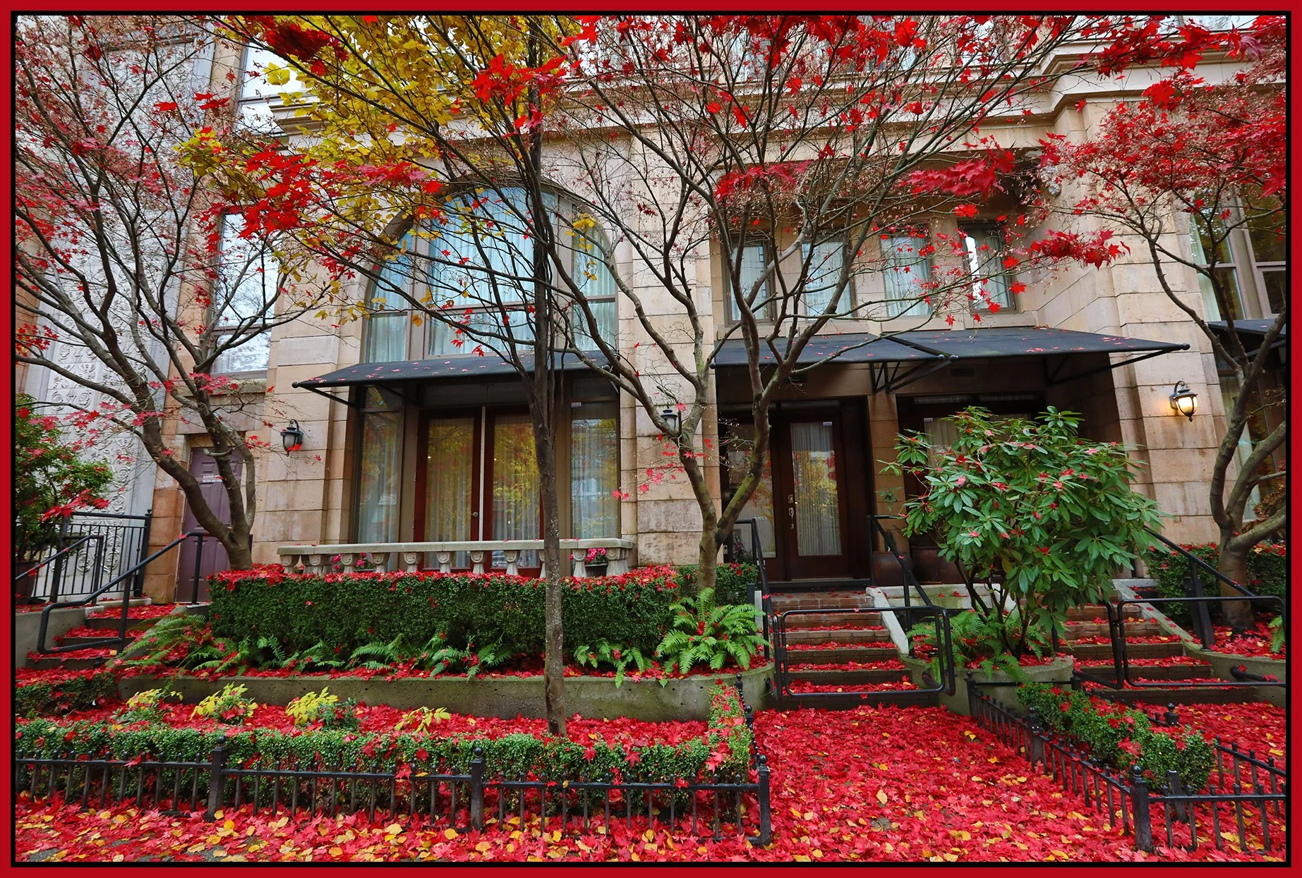 489 Drake St_Nov 25_2022_HDR_5C7927_4x6s.jpg