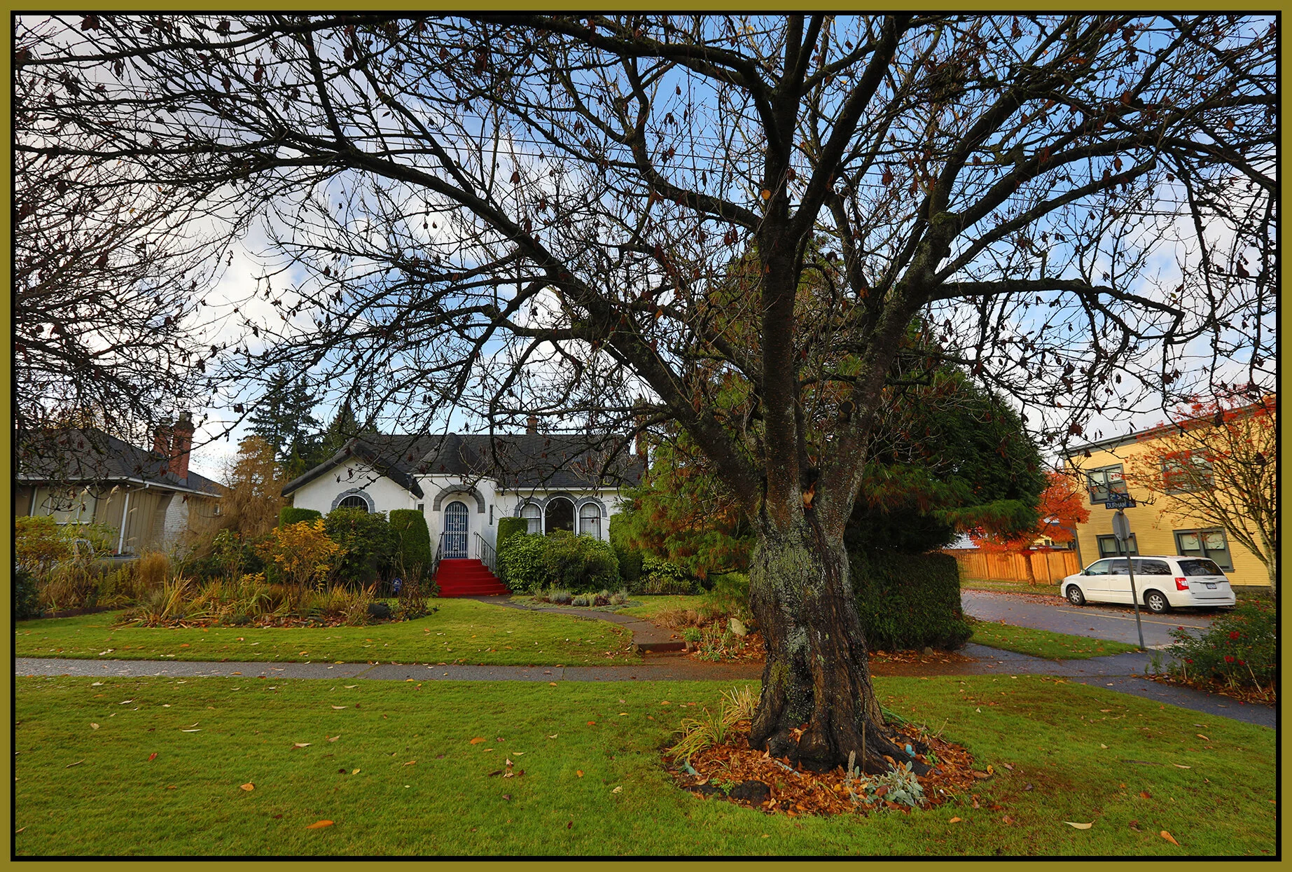 New West Houses & Trees_Nov 15_2020_HDR_4G4824_4x6s.jpg