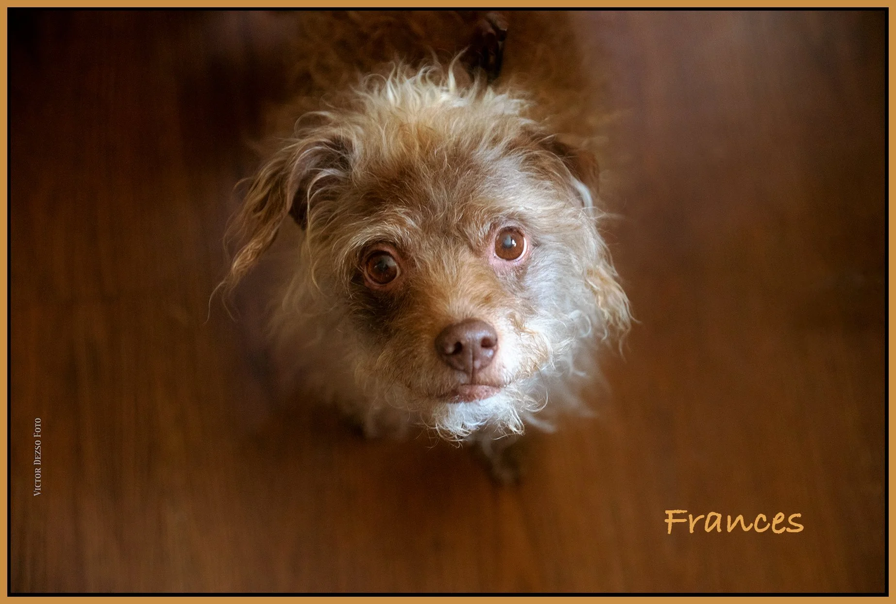 Frances_Jun 1_2025_CR2_5F3620_peB&wSF_4x6ss.jpg