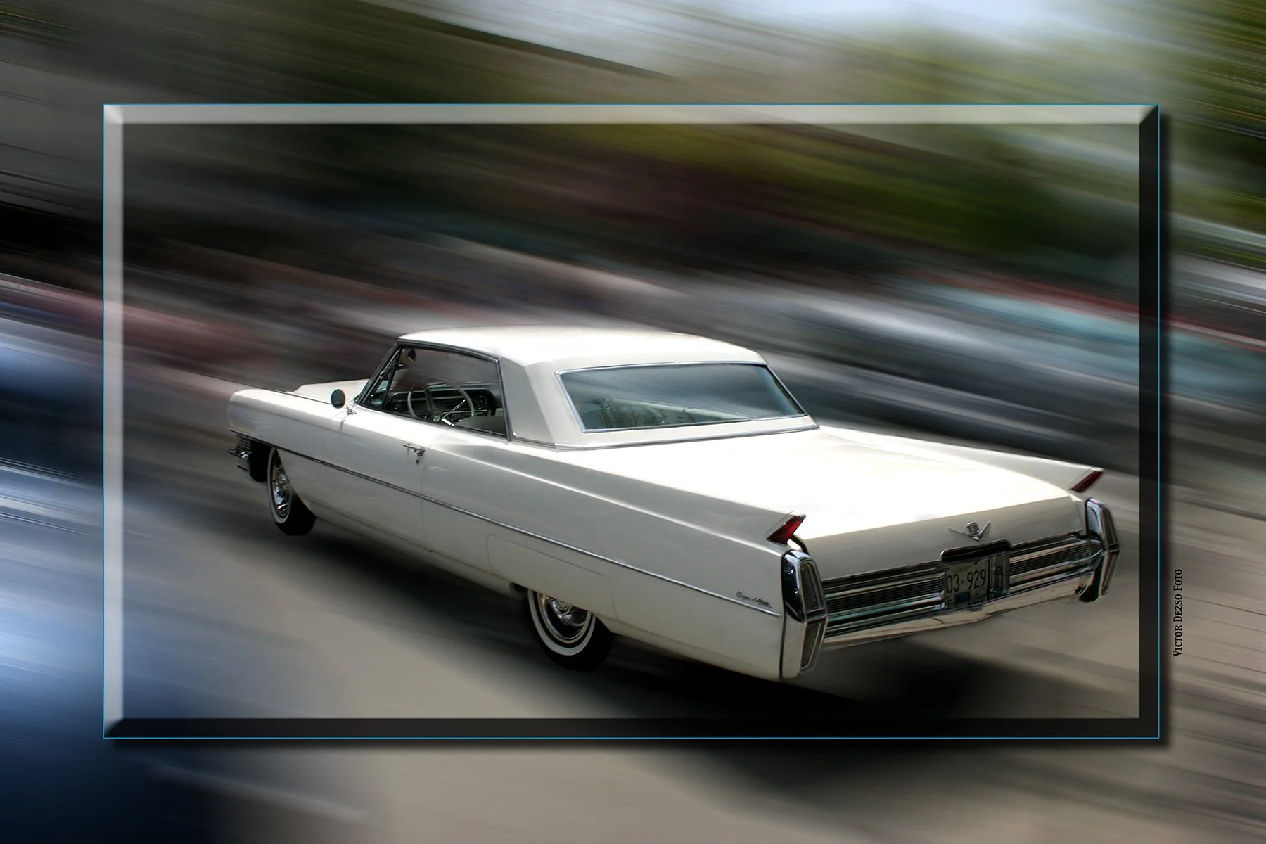 Caddy White_5394_1_4x6s.jpg