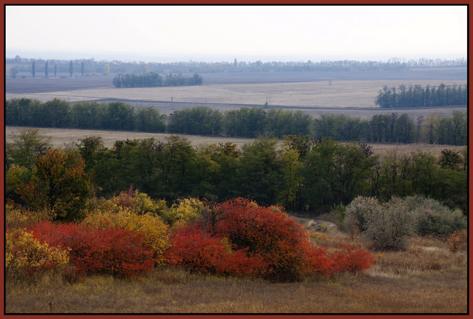 Pécel_Oct 26_2011_1783_4x6s.jpg