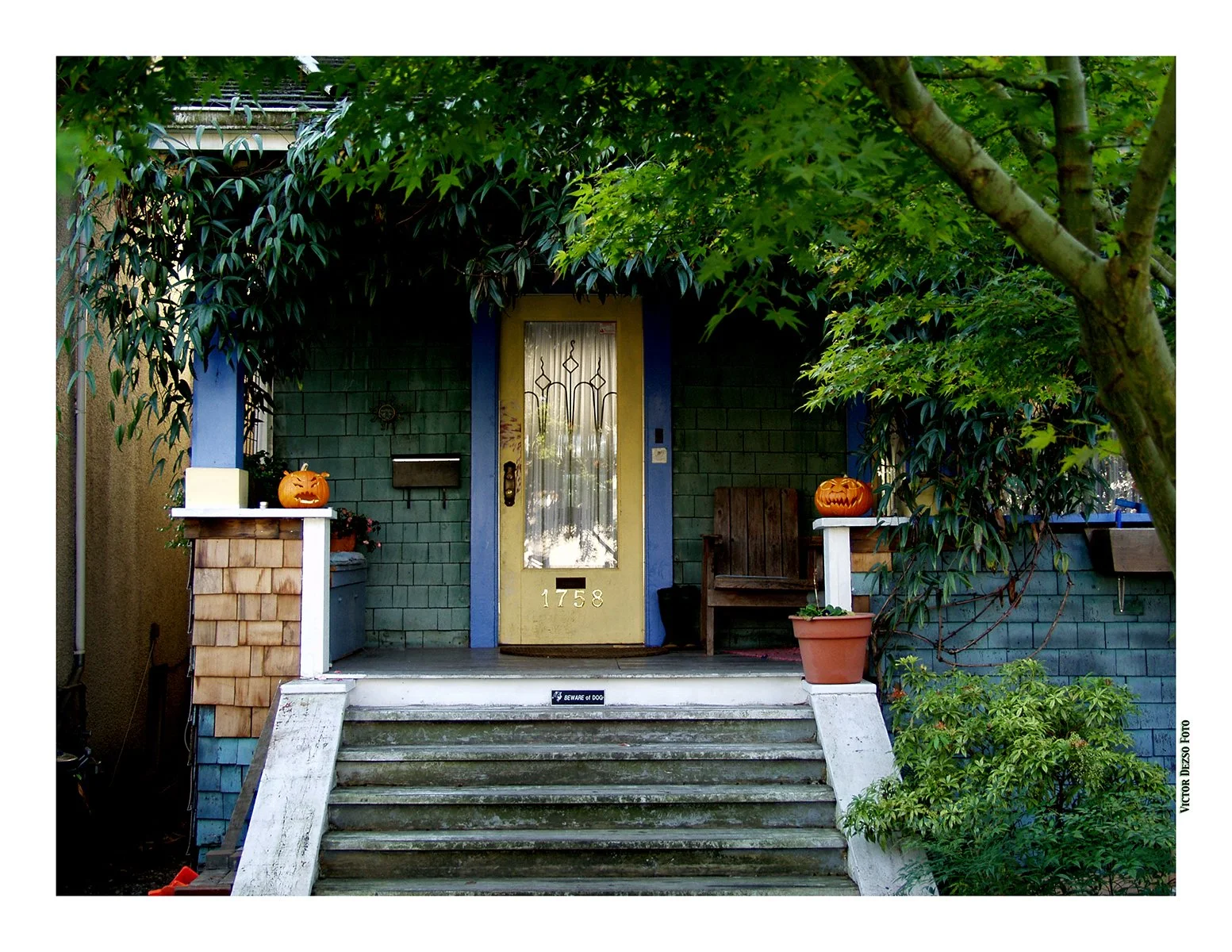 Halloween House-1990's-20_4x5s.jpg