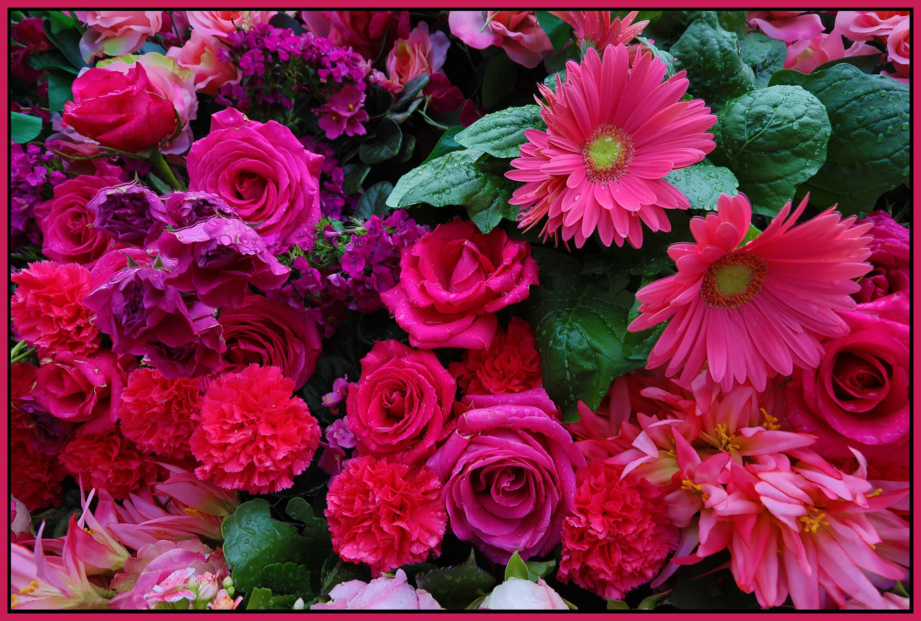 Flowers_Jun 14_2021_HDR_5A8366_4x6s.jpg