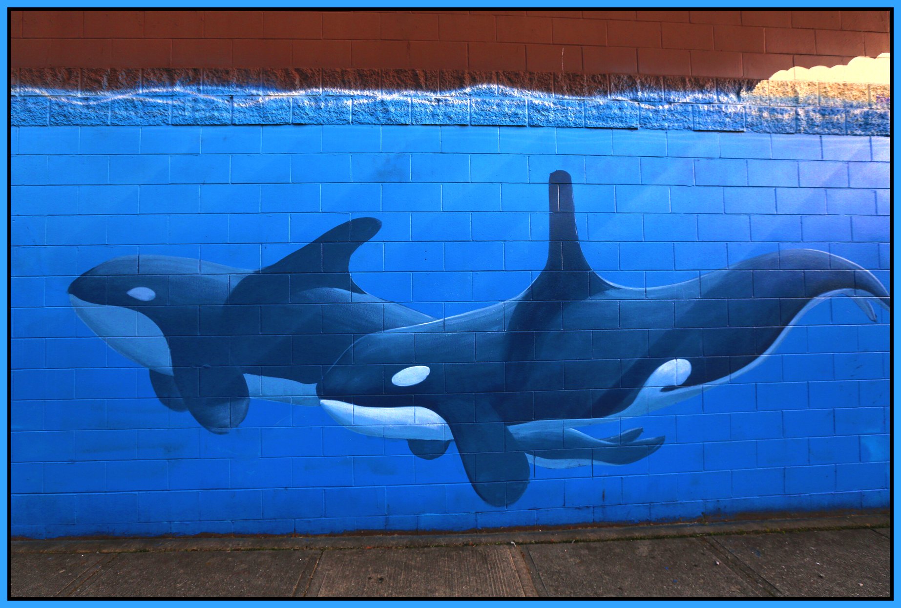 795 Powell Mural_Feb 24_2015_HDR_F2945_4x6s.jpg