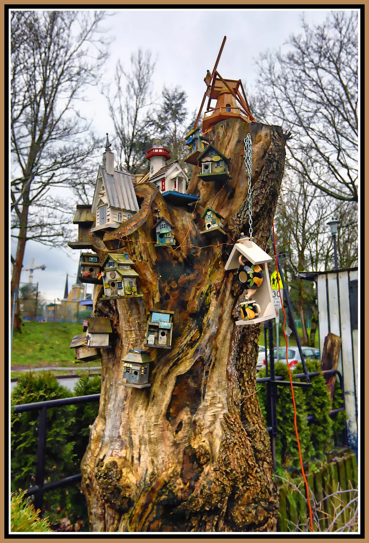 580 Heatley Bird Houses_Jan 8_2025_HDR_5E7409_peShdngCntrst_Hyprstrip_Mix_4x6s 2.jpg