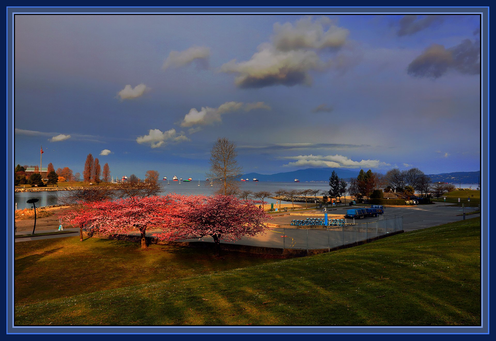 English Bay Trees_Mar 26_2020_HDR_F4144_peWL_4x6s.jpg