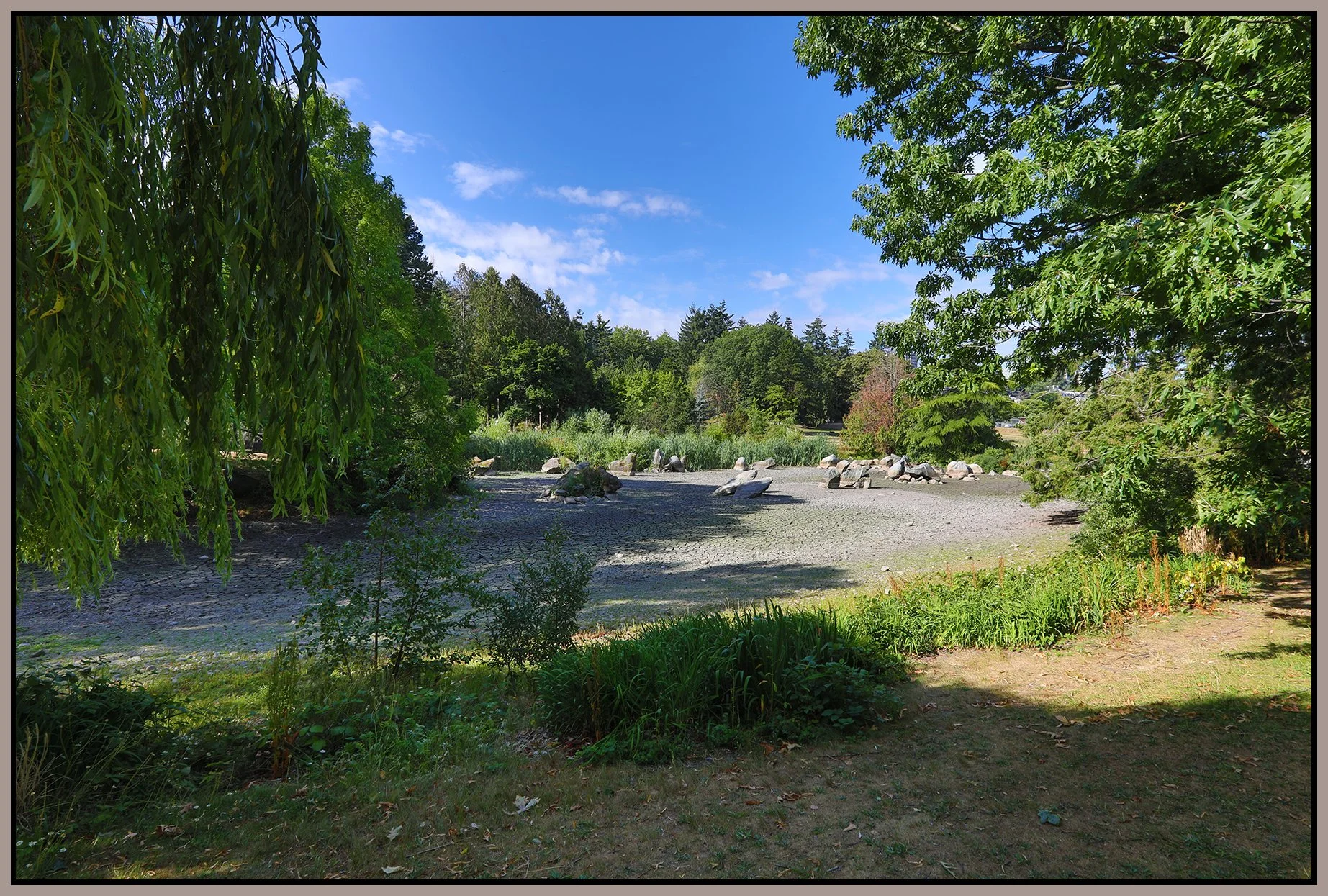Charleson Park Dry Pond_Jul 12_2023_HDR_5C2327_4x6s.jpg