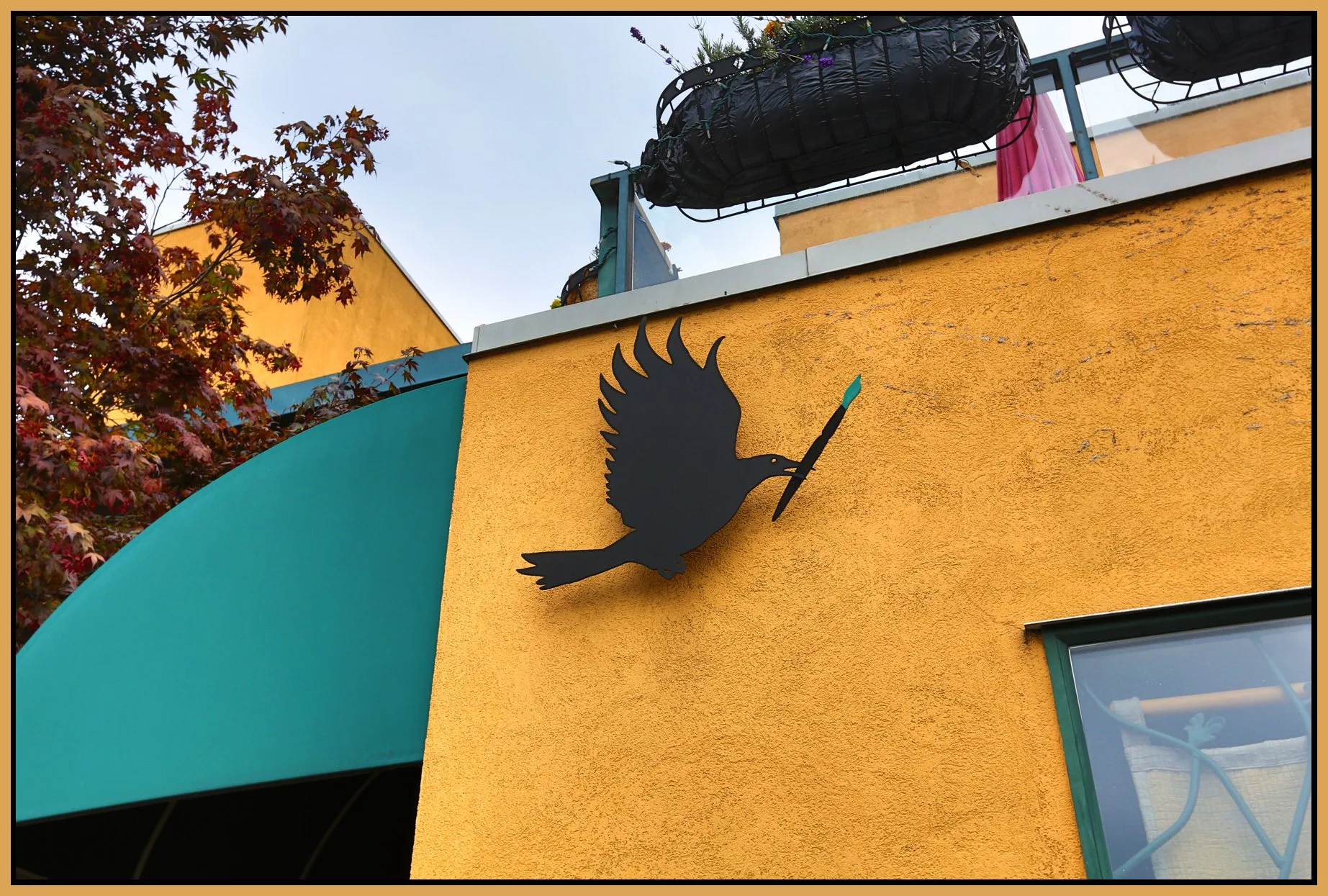 Strathcona Black Bird_Sep 8_2013_HDR_B2210_4x6s.jpg