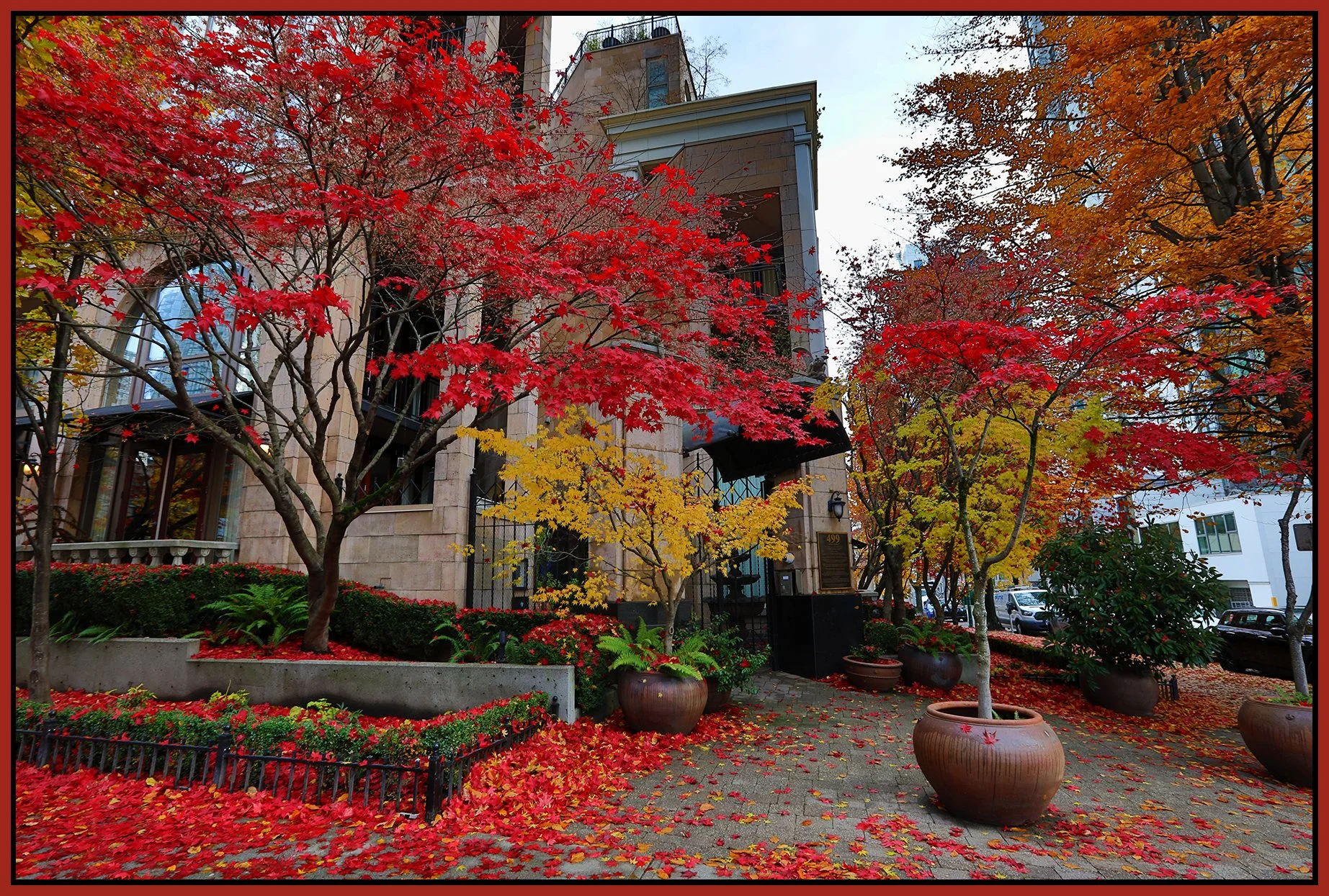 499 Drake St Trees_Nov 25_2022_HDR_5C7979_4x6s.jpg