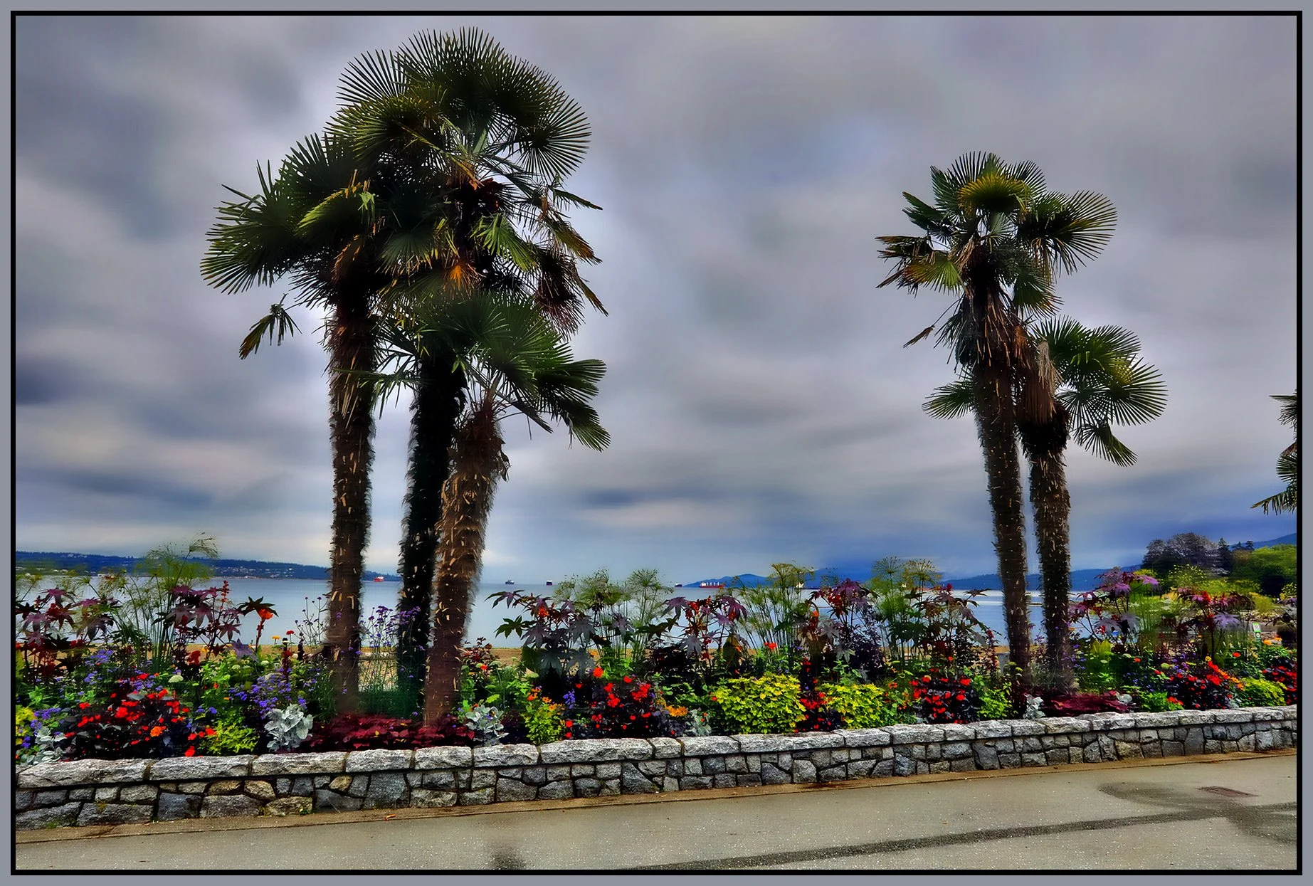 English Bay Palms_Aug 20_2024_HDR_5E8614_peHdr2013_1_4x6s.jpg