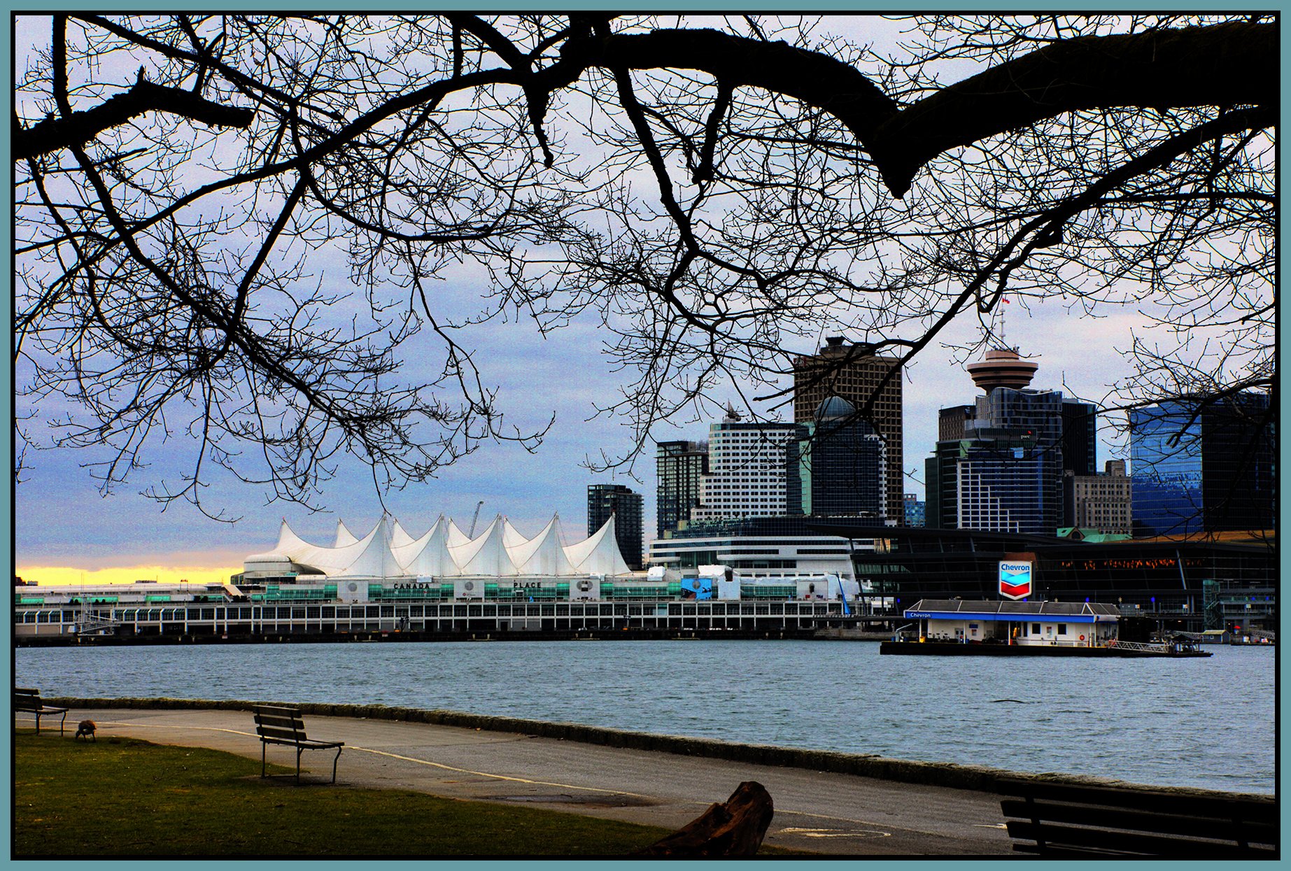 Vancouver from Stanley Park LkgSE_Feb 20_2026_HDR_5F6099_peCntrst_Hyperdtrip_4x6s.jpg