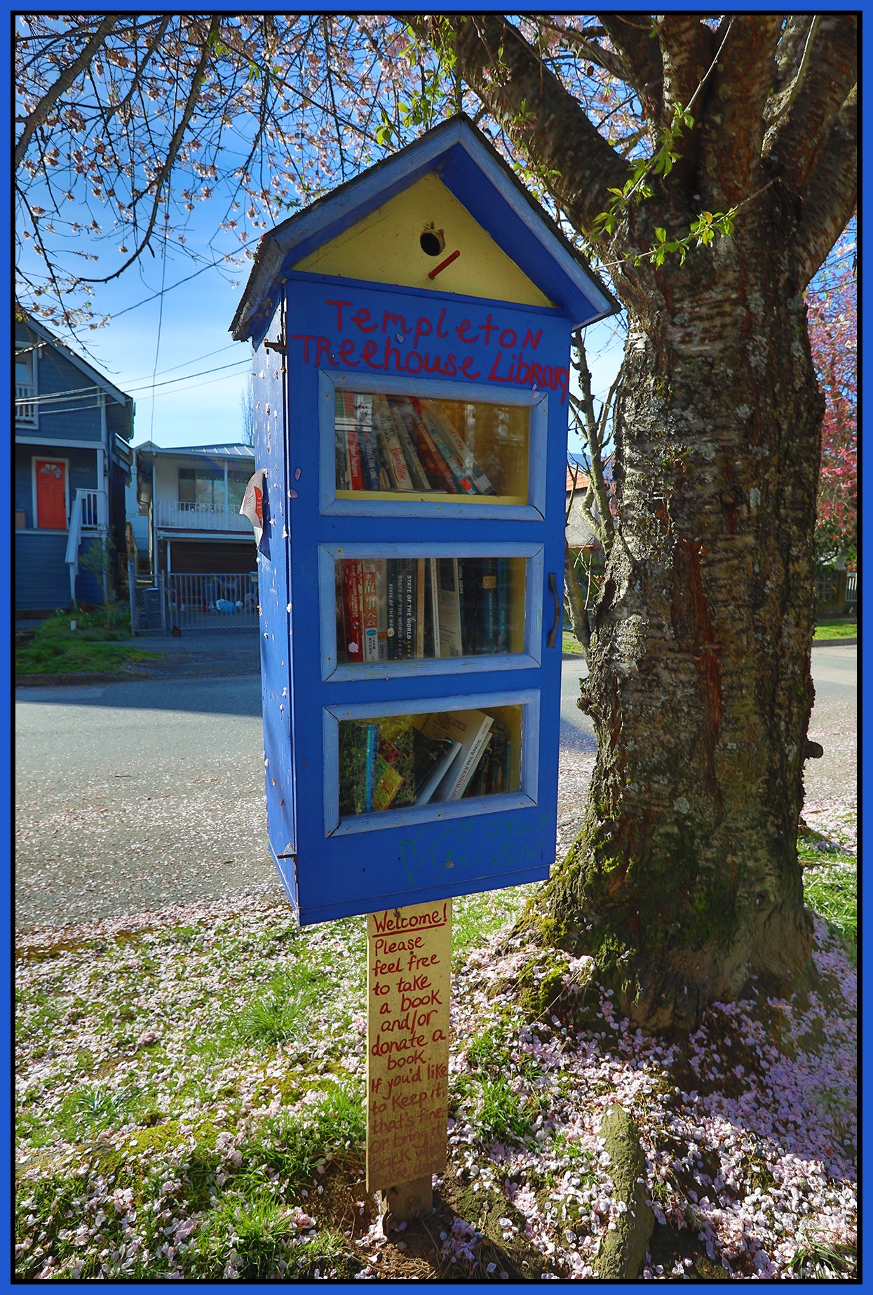 Templeton Tree House Library_Apr 3_2024_HDR_4H6386_4x6s.jpg