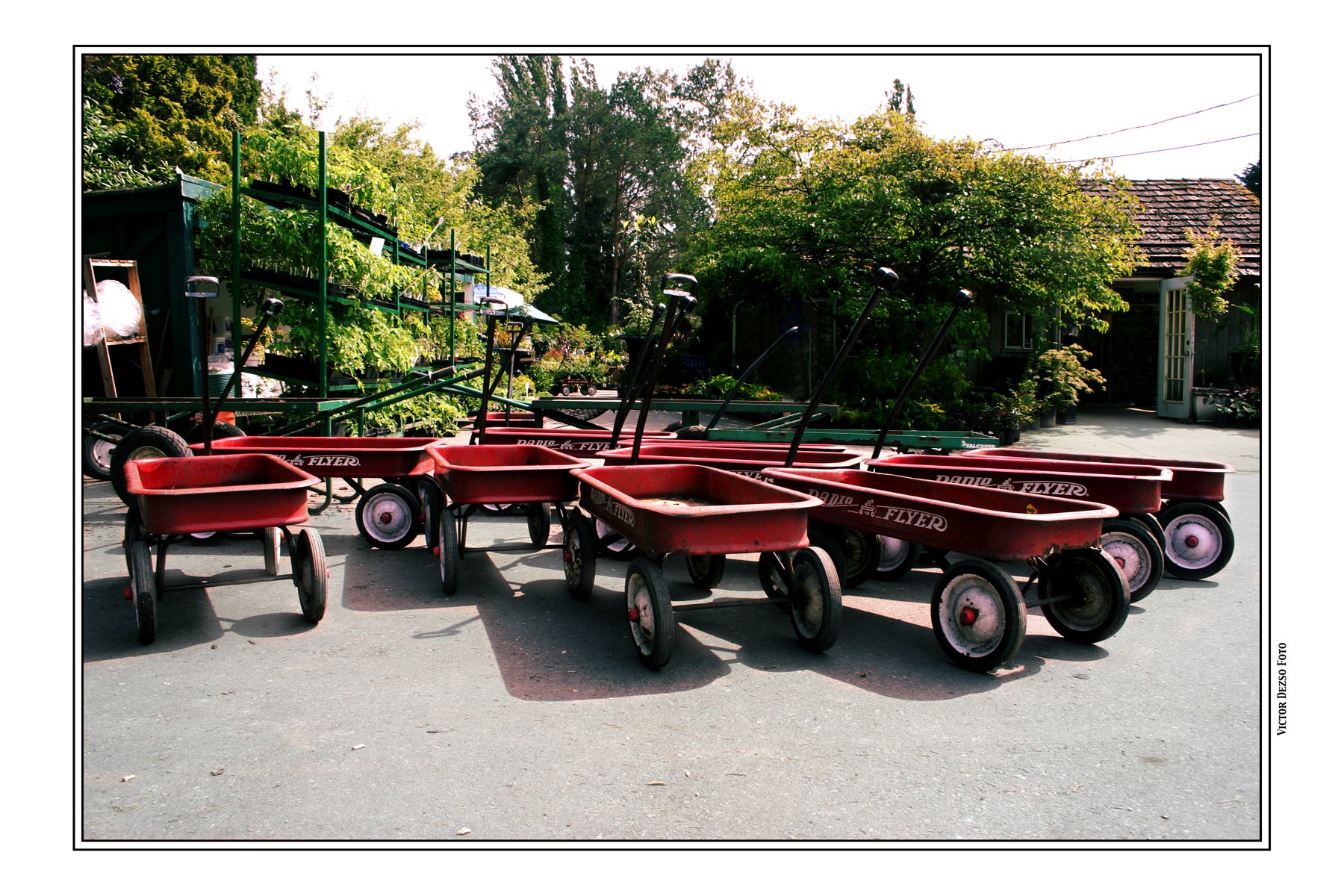 Red Wagons_jun 5_2005_0927_4x6s.jpg