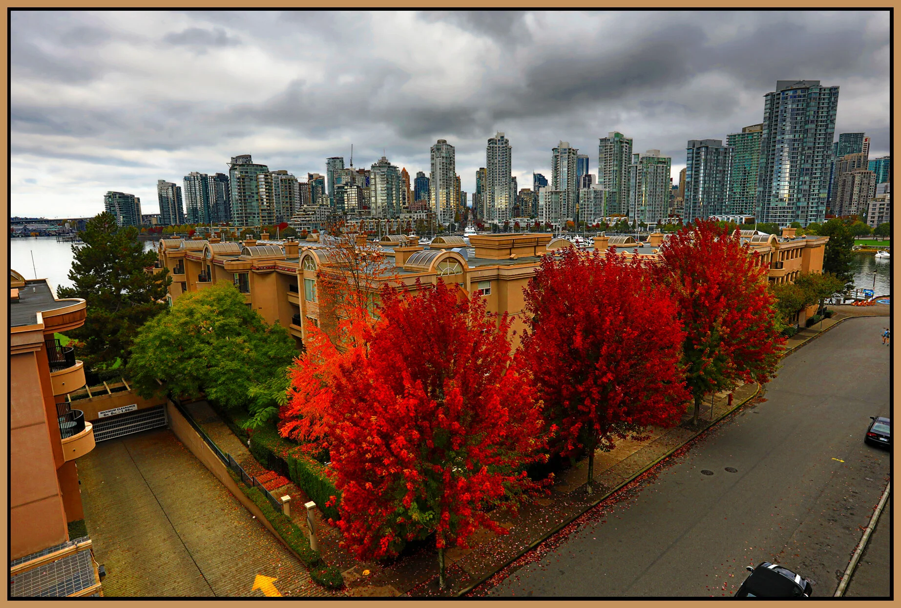Cambie Bg LkgNW Trees_Oct 9_2016_HDR_A1782_peImpact_4x6s.jpg