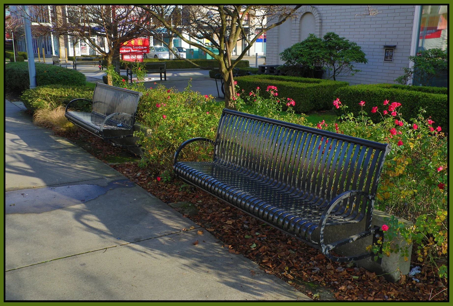 Bench in Rmd_Dec 5_2017_HDR_B2701_4x6s.jpg