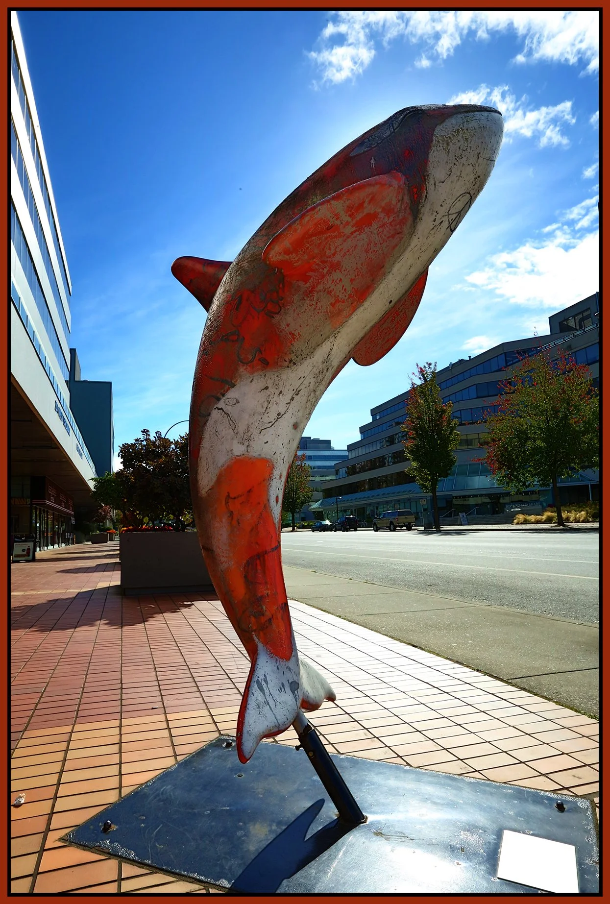 Dolphin NVn_Sep 30_2012_HDR_C5975_4x6s.jpg