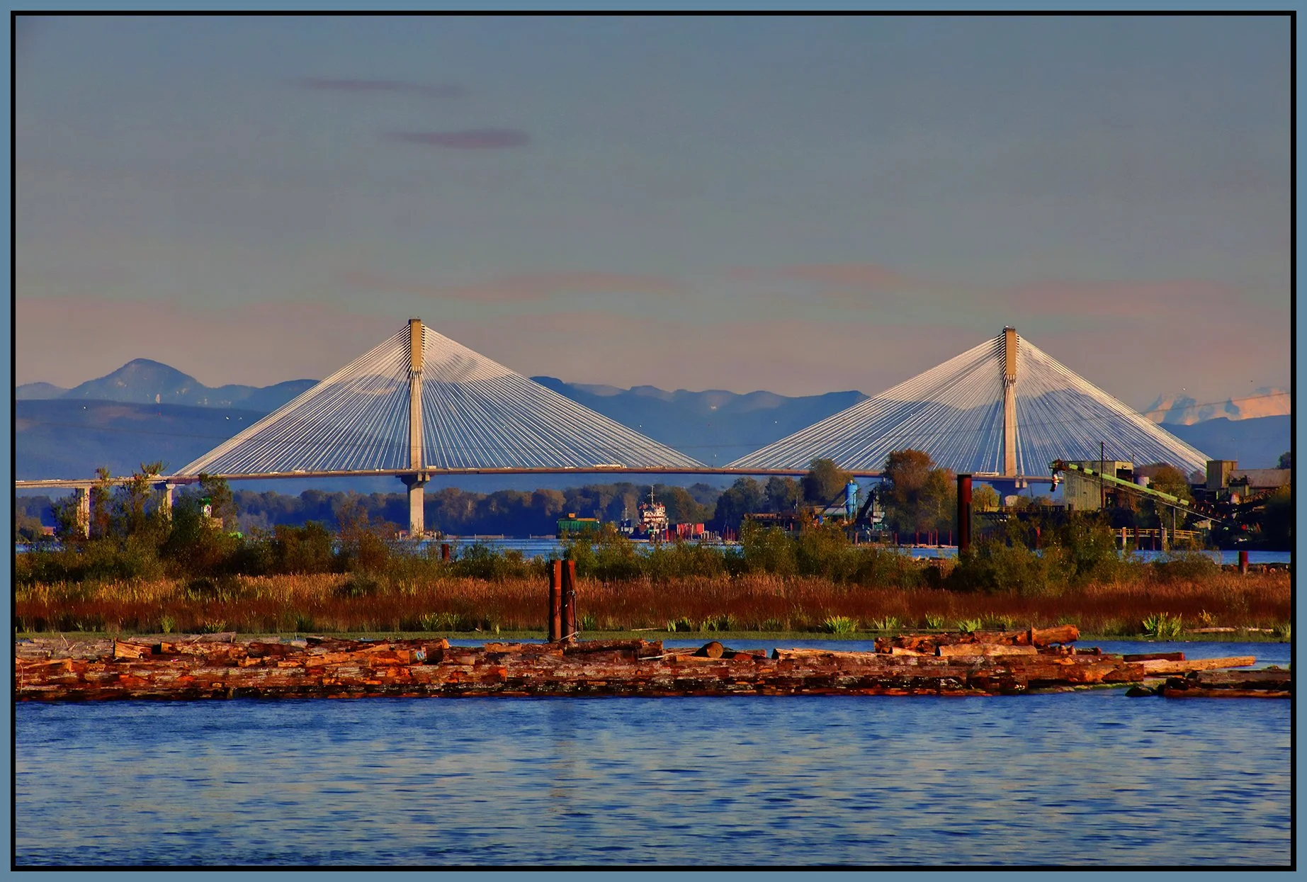 Port Mann Bridge from Fraser Regional Greenway Park_Oct 26_2023_HDR_4H8845_peShdngCntrst_4x6s.jpg