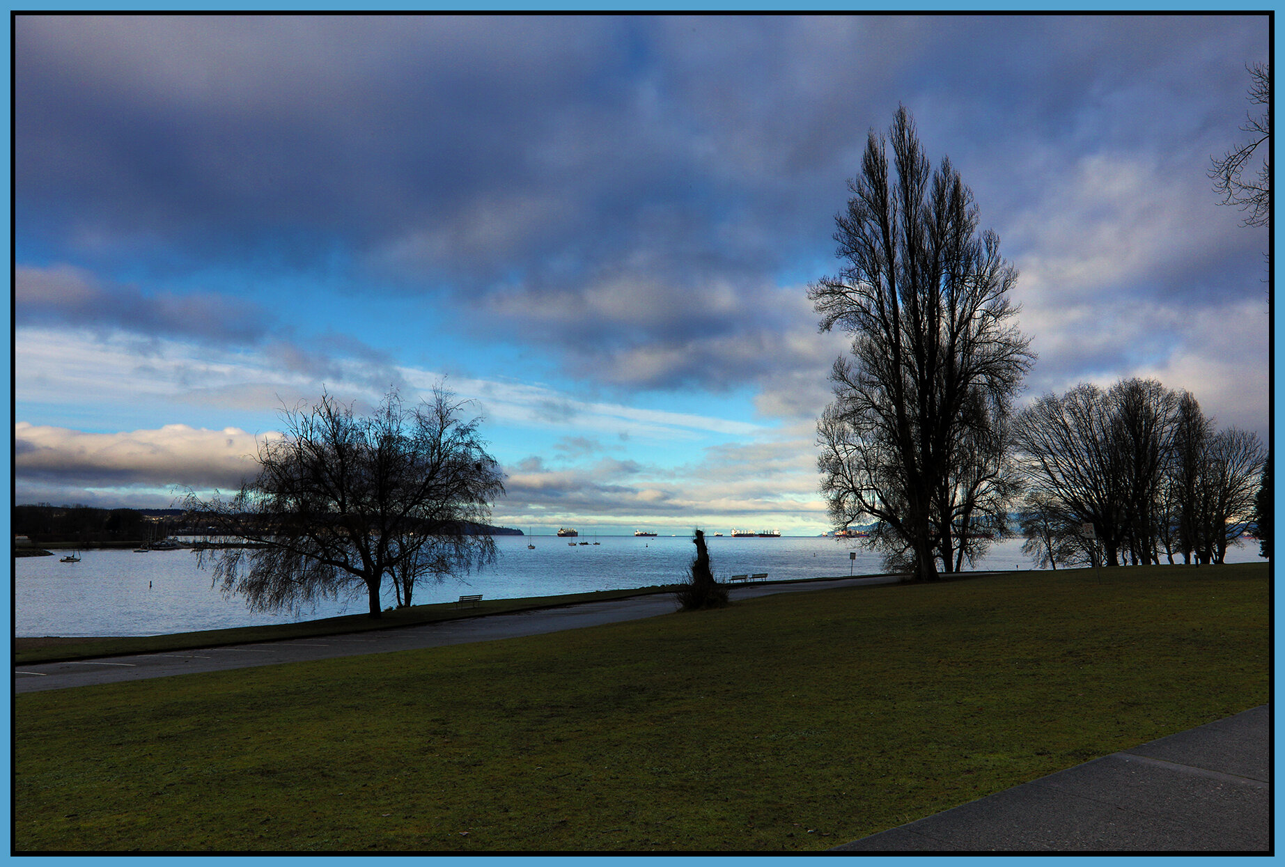 English Bay Trees_Feb 5_2021_HDR_4G3900_peLvlCrrct_4x6s.jpg