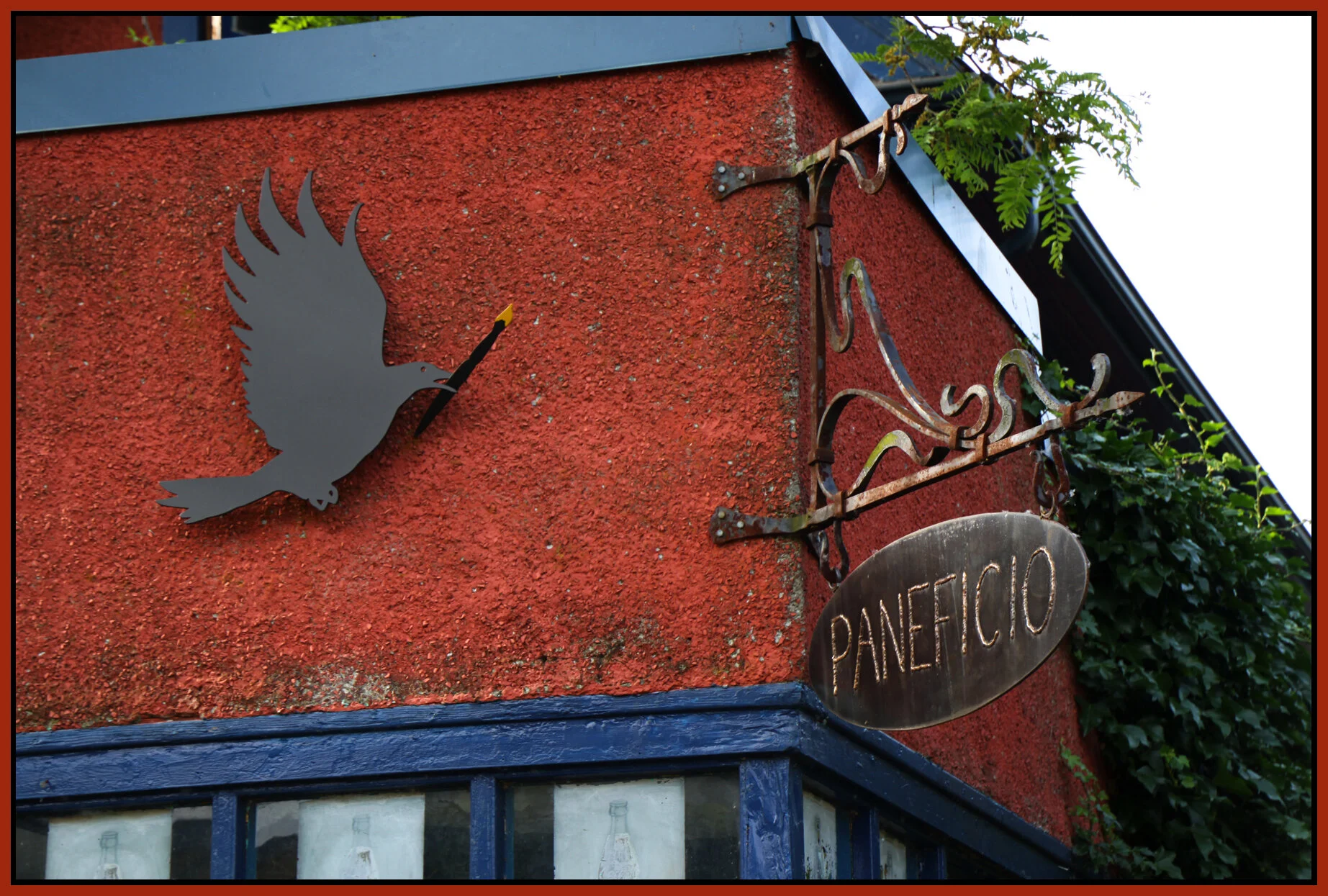 Strathcona Black Bird_June 22_2010_6276_4x6s.jpg