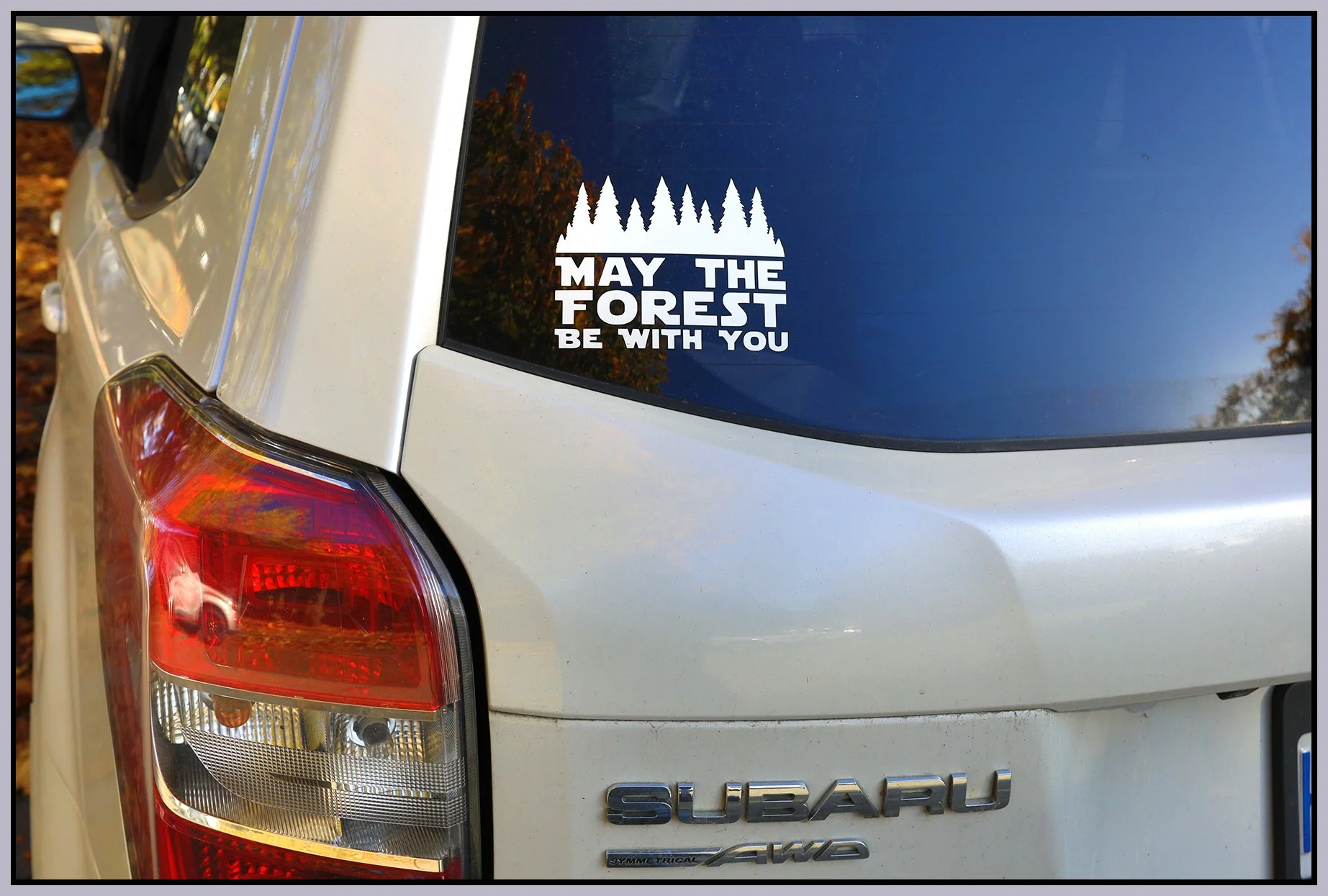 May the Forrest Be With You Sign_Oct 11_2023_HDR_5C7528_4x6s.jpg