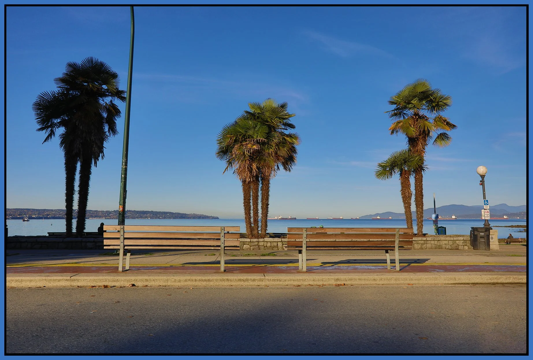 English Bay Palms_Oct 12_2024_HDR_5E2574_4x6s.jpg