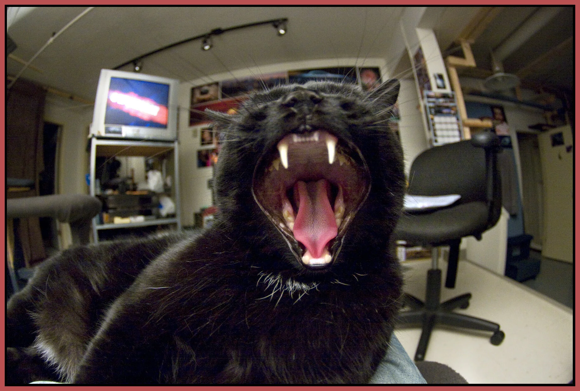 CC_Sept 08_CR2_3998_4x6s.jpg