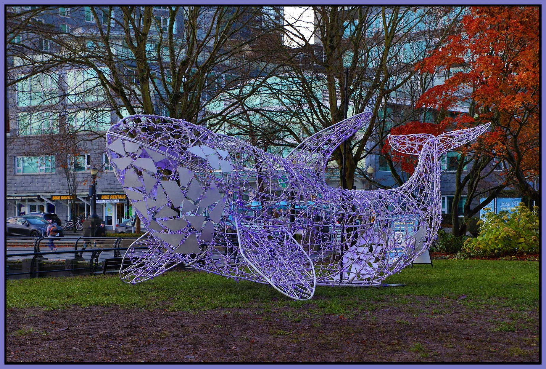 Bayshore Art_Dec 2_2023_HDR5E1907_4x6s.jpg