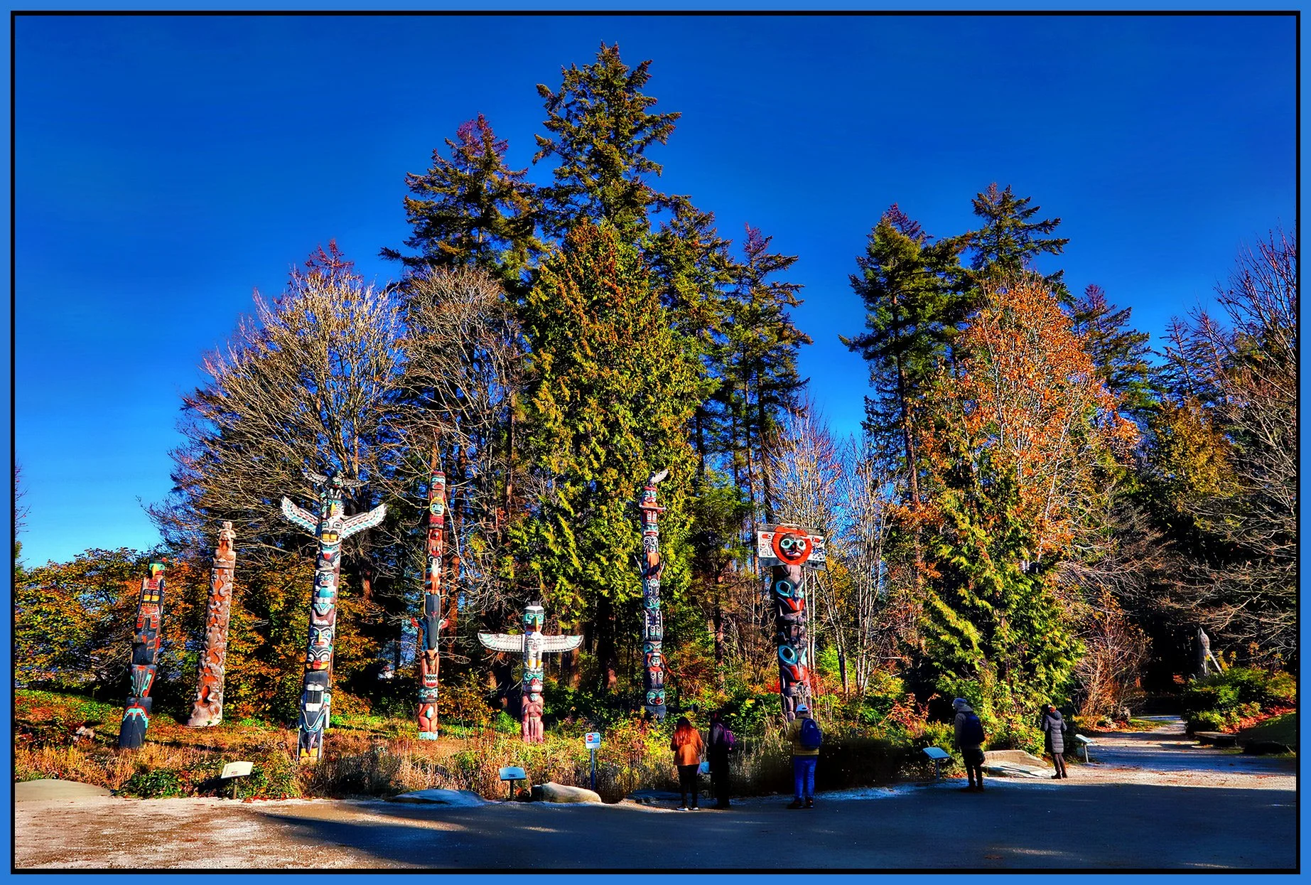Stanley Pk Totem Poles_Nov 18_2022_HDR_5C6858_1_peClrPunch_Hdr2013_1_4x6s.jpg