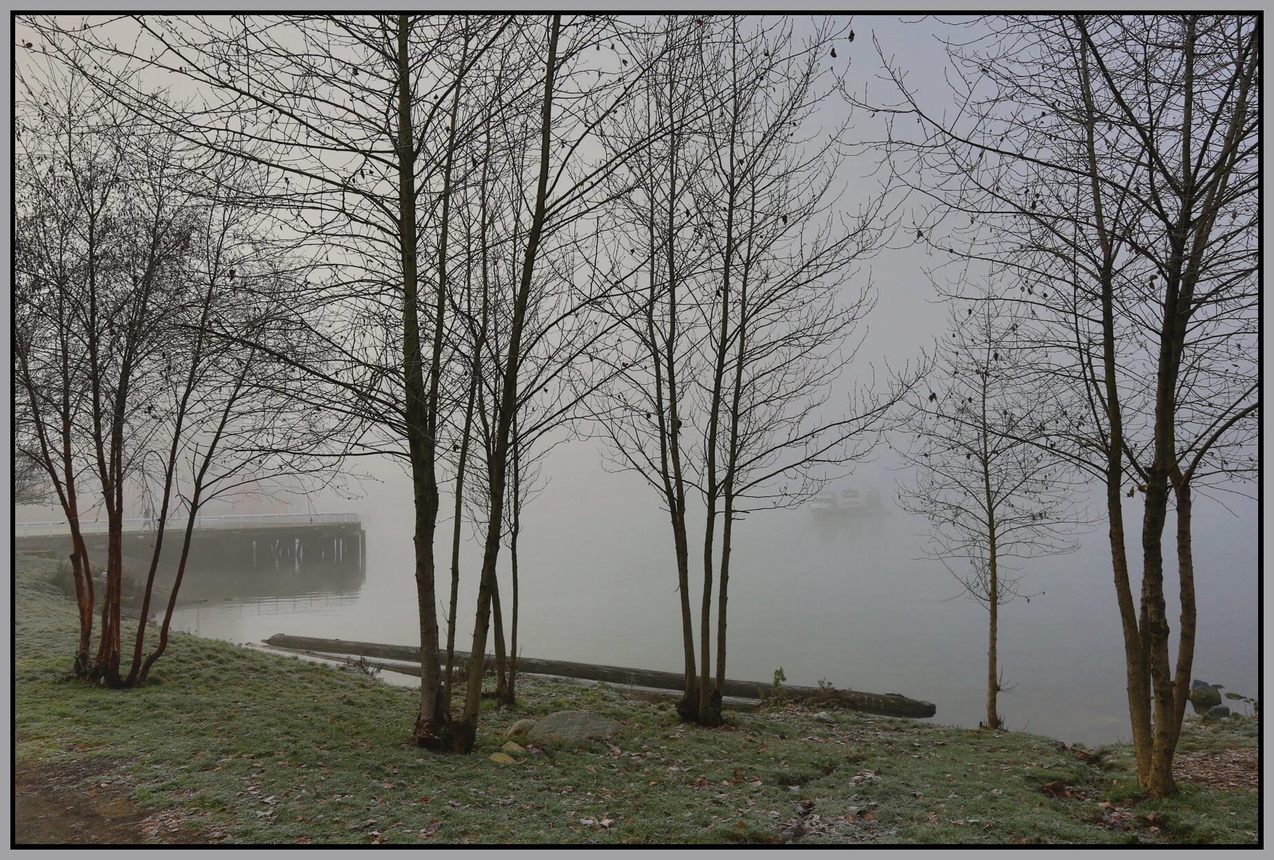 6 View Trees_Jan 1_2016_HDR_K1918_4x6s.jpg